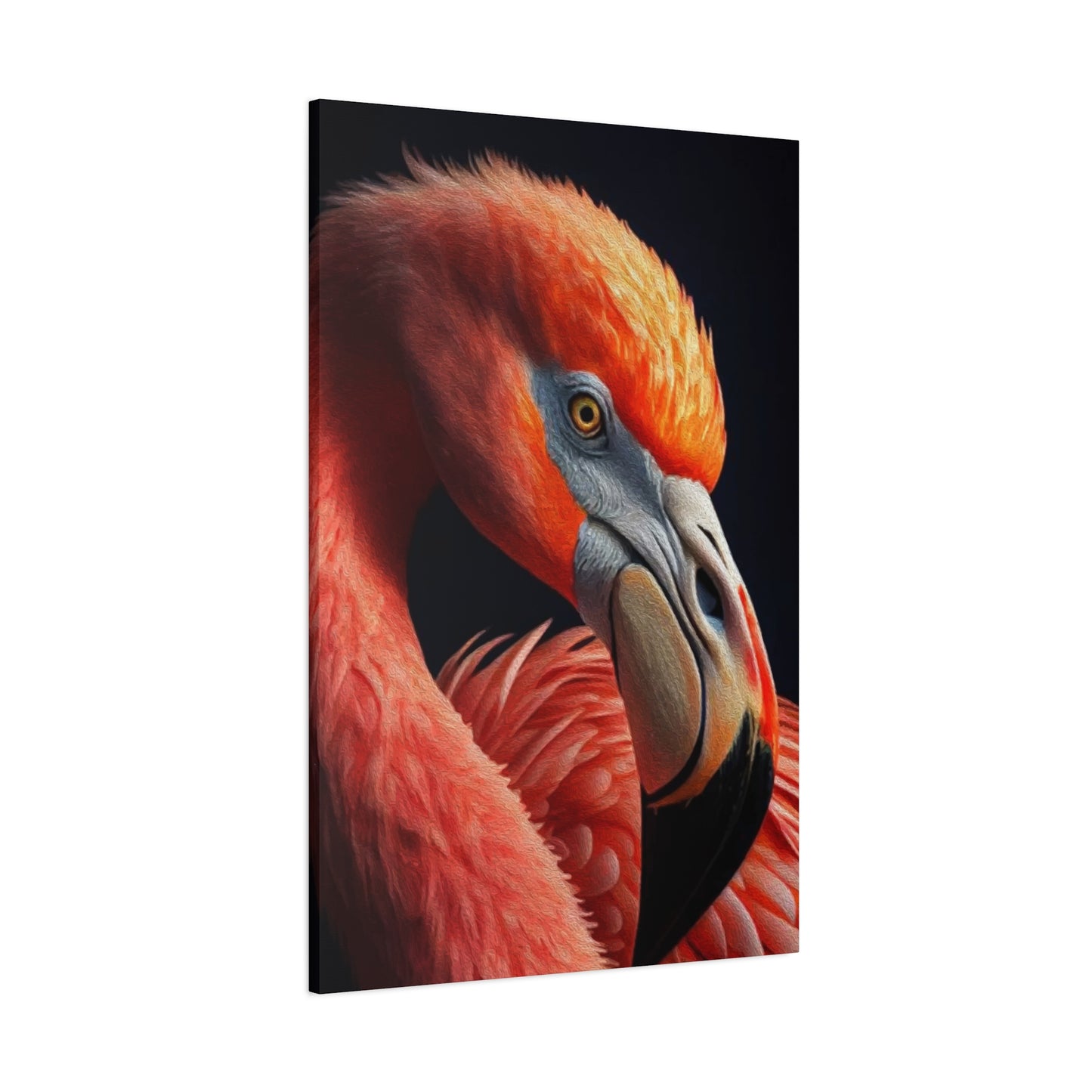 Vulture Bird Wall Art & Canvas Prints