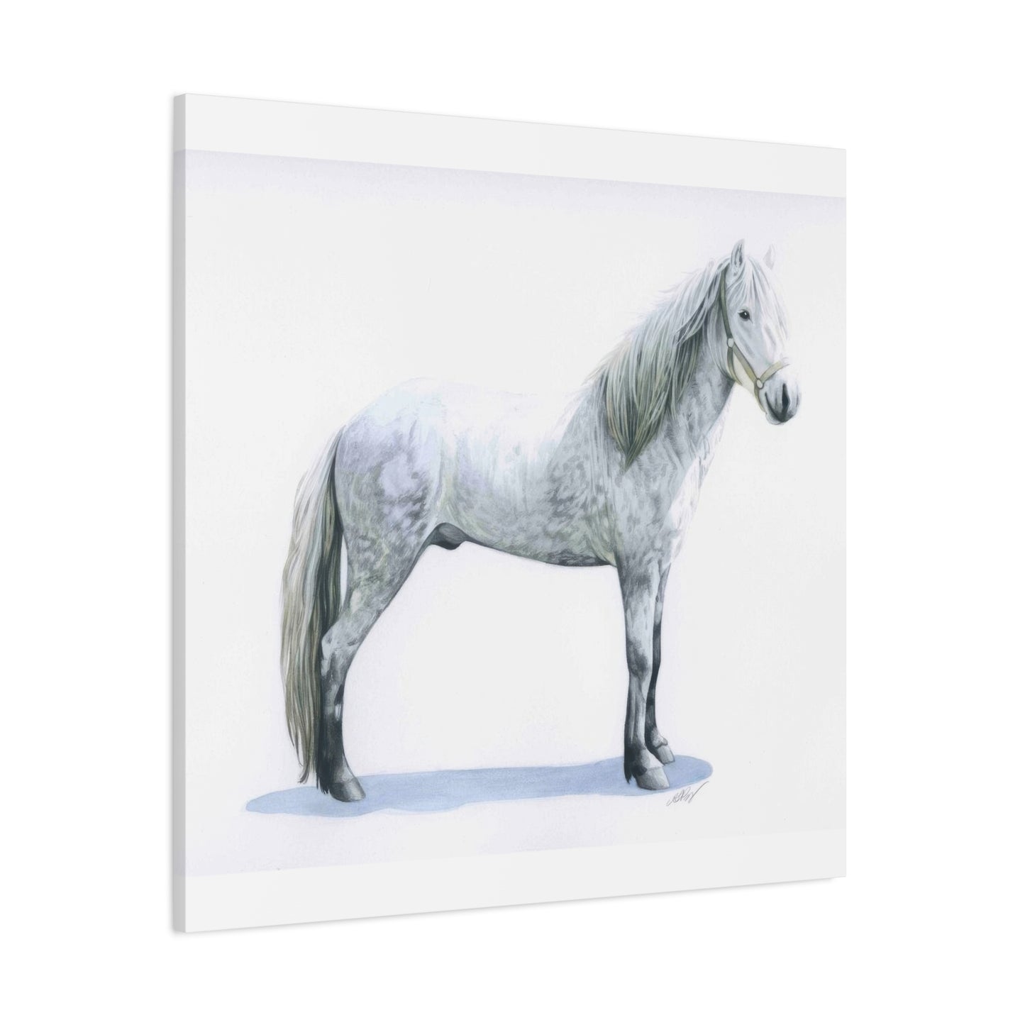 Grace Popp White Horse Wall Art & Canvas Prints