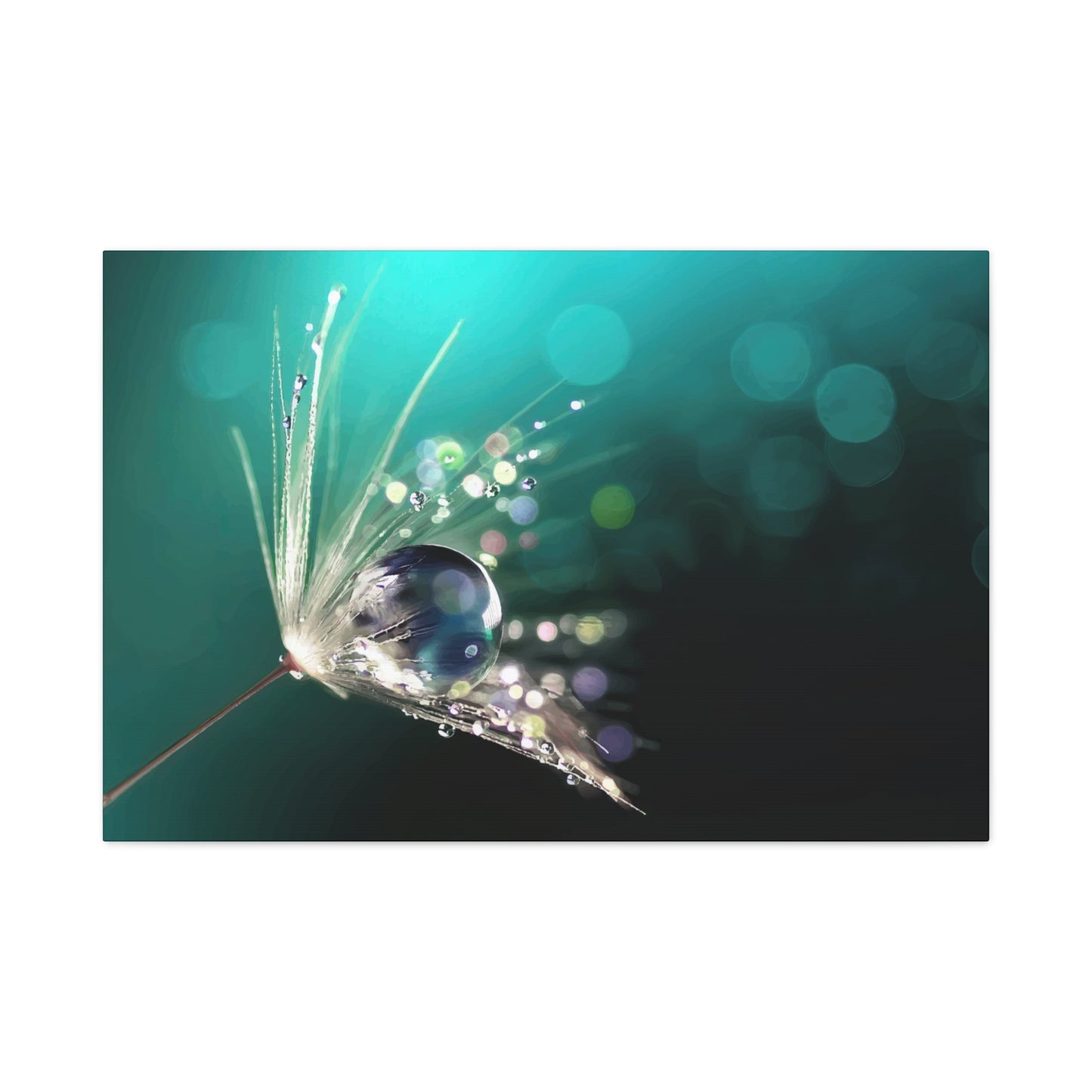 Water drops Wall Art & Canvas Prints