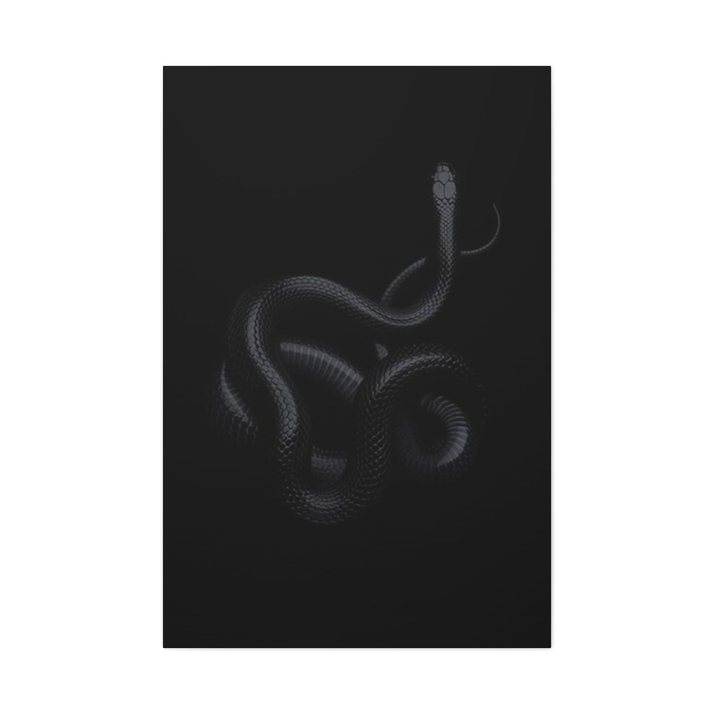 Black Snake's Poster Wall Art & Canvas Prints
