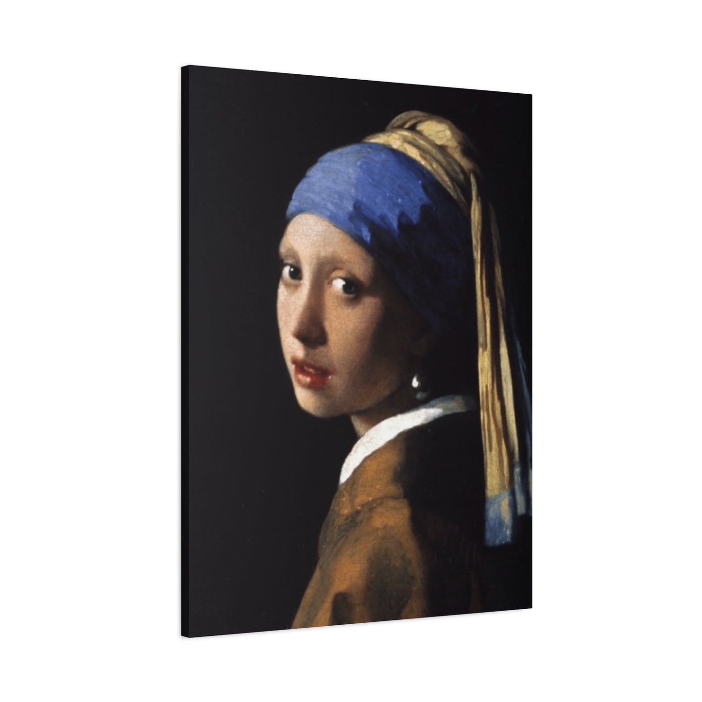 Girl With A Pearl Earring Portrait Wall Art & Canvas Prints