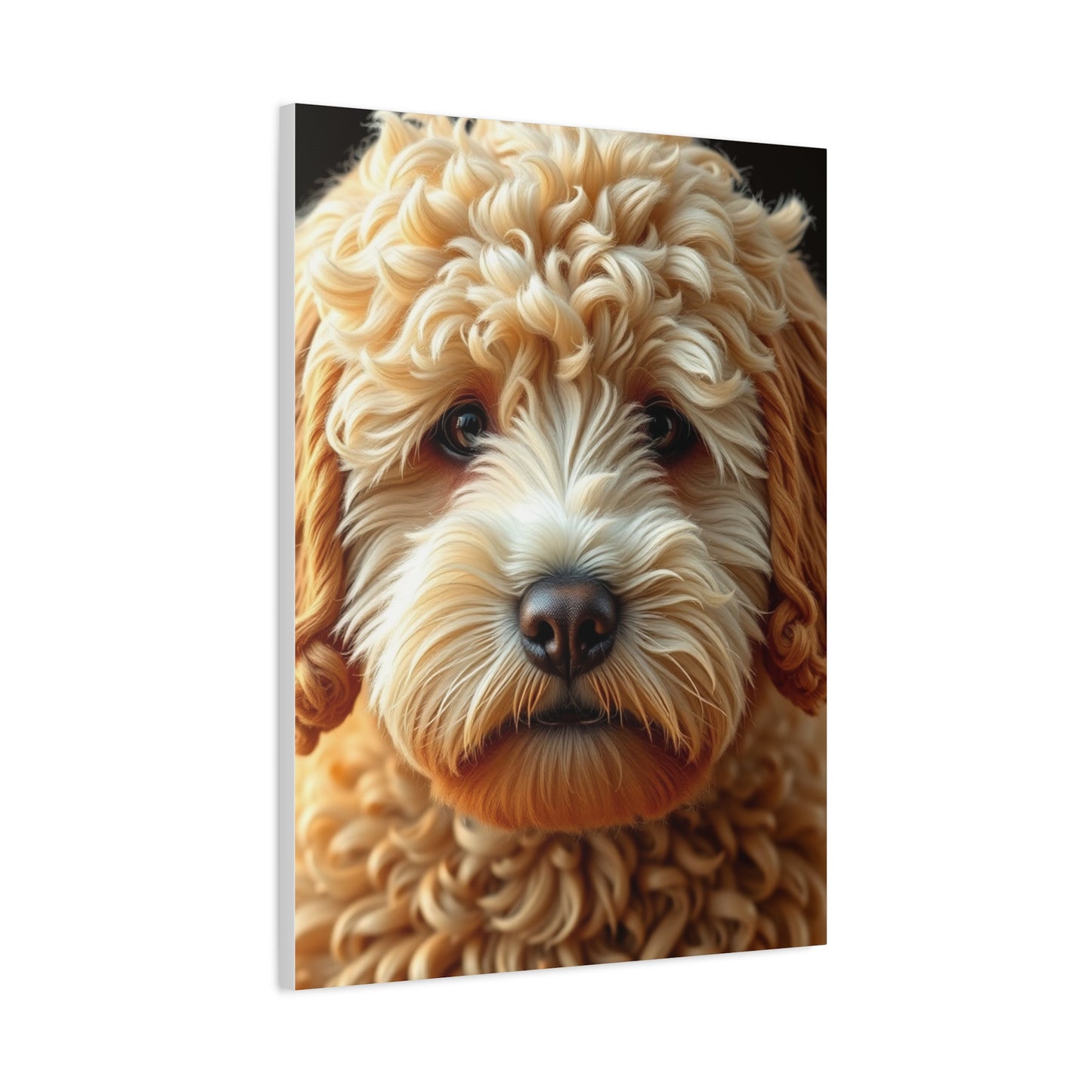 Golden Doodle Art Supreme Gallery Wall Art & Canvas Print