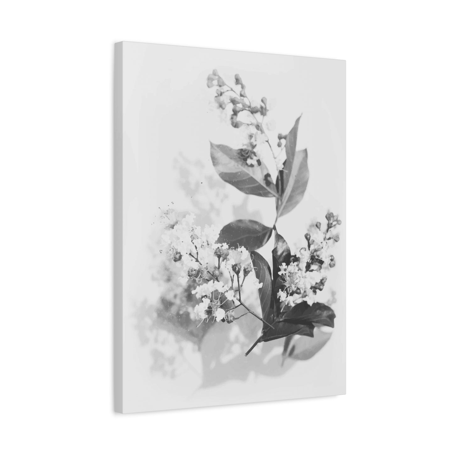 White Flora Wall Art & Canvas Prints