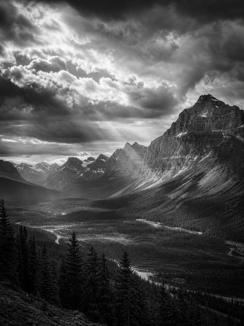 Ansel Adams Wall Art