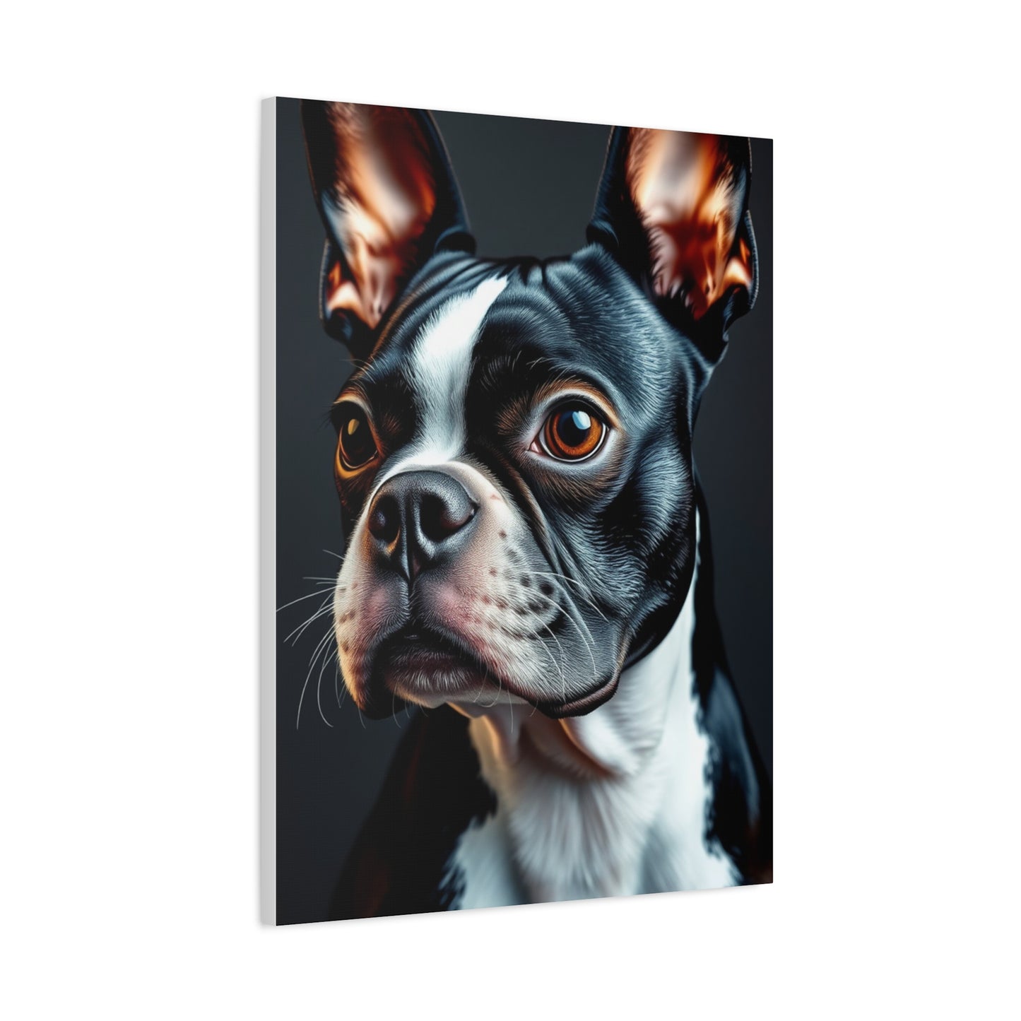 Boston Terrier Art Supreme Canvas Gallery Wall Art & Canvas Print