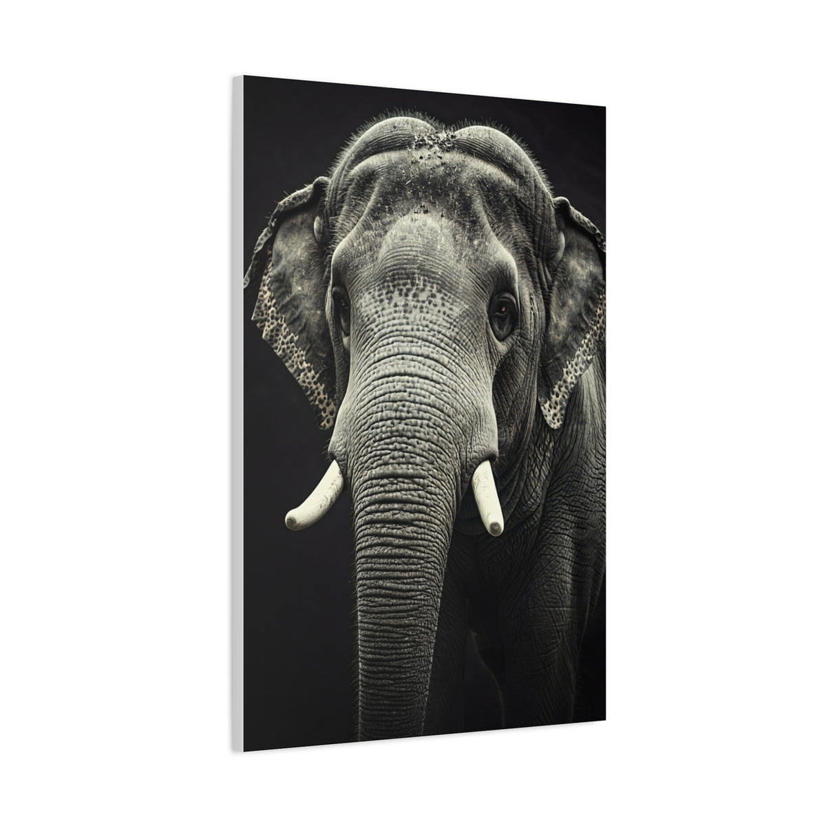 Regal Elephant Close-Up Wall Art & Canvas Prints