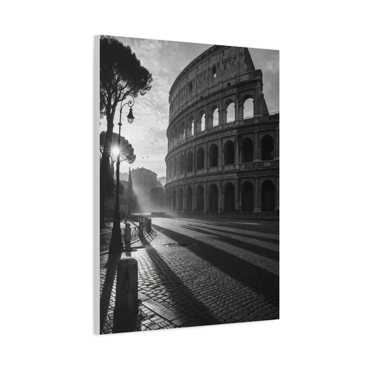 Colosseum Morning Light Monochrome Wall Art & Canvas Print