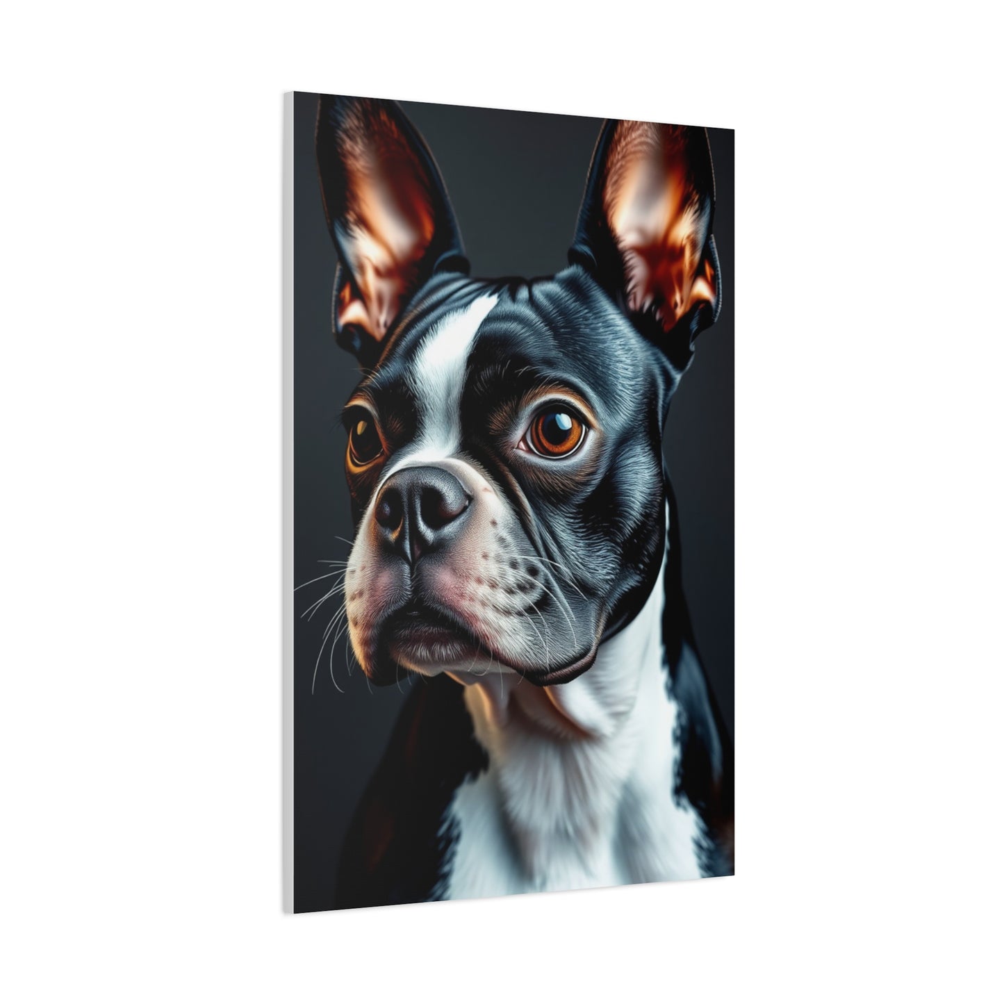 Boston Terrier Art Supreme Canvas Gallery Wall Art & Canvas Print
