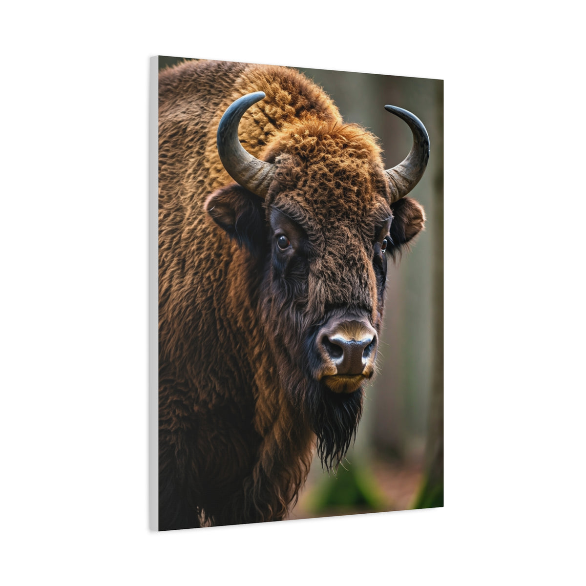 Wood Bison Close-Up with Soft Forest Backdrop Wall Art & Canvas Print