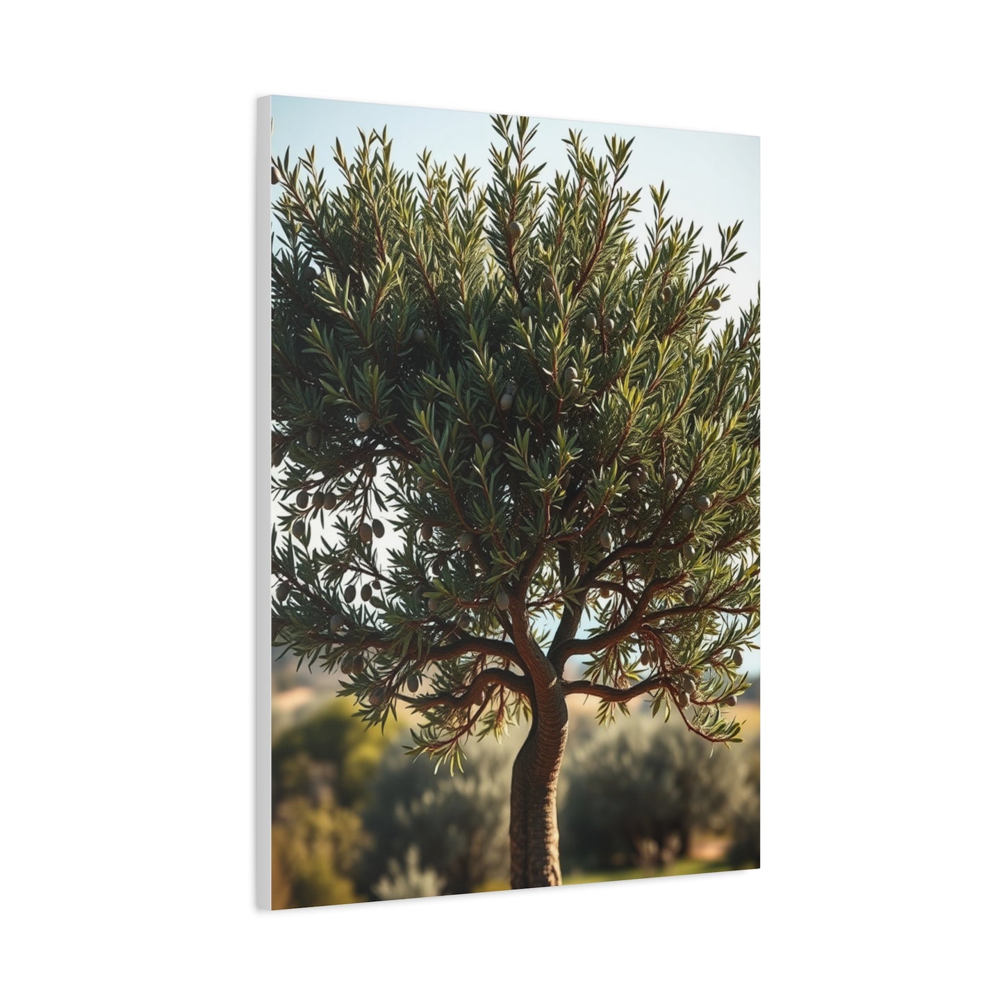Supreme Olive Tree Art Wall Art & Canvas Print