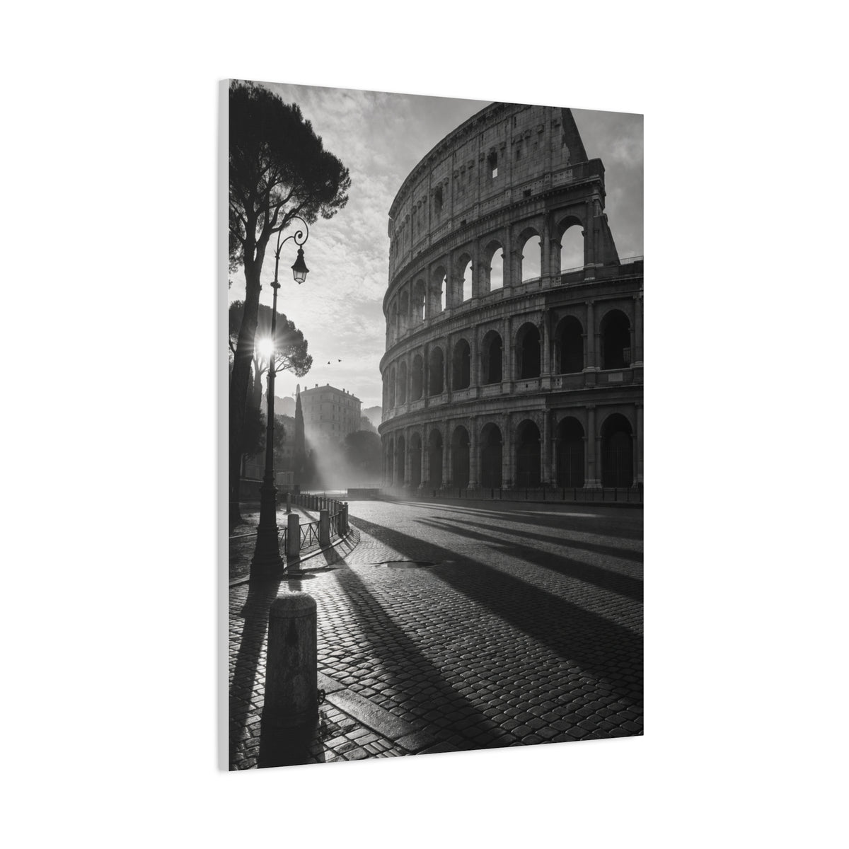 Colosseum Morning Light Monochrome Wall Art & Canvas Print