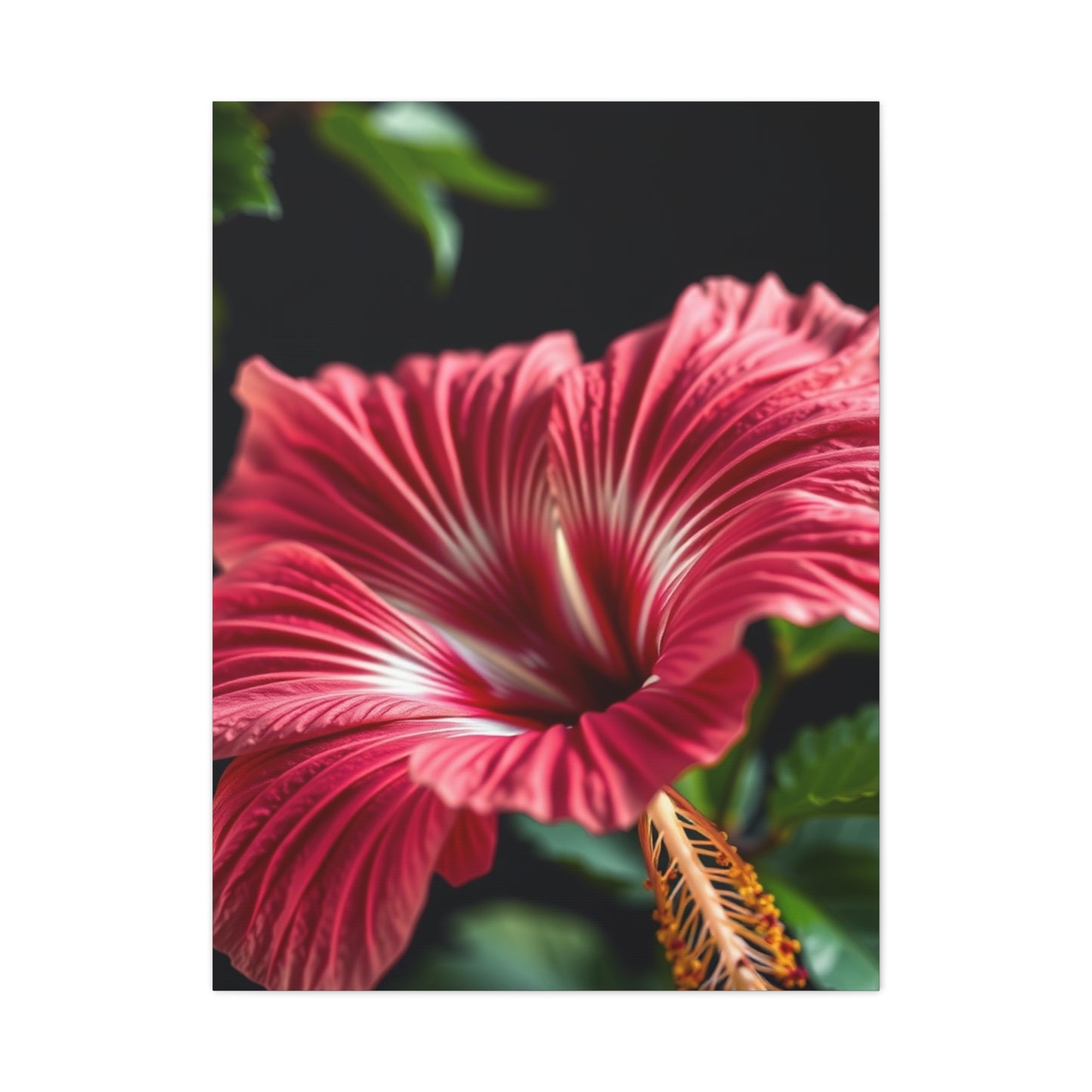 Hibiscus Flower Art Supreme Gallery Wall Art & Canvas Print