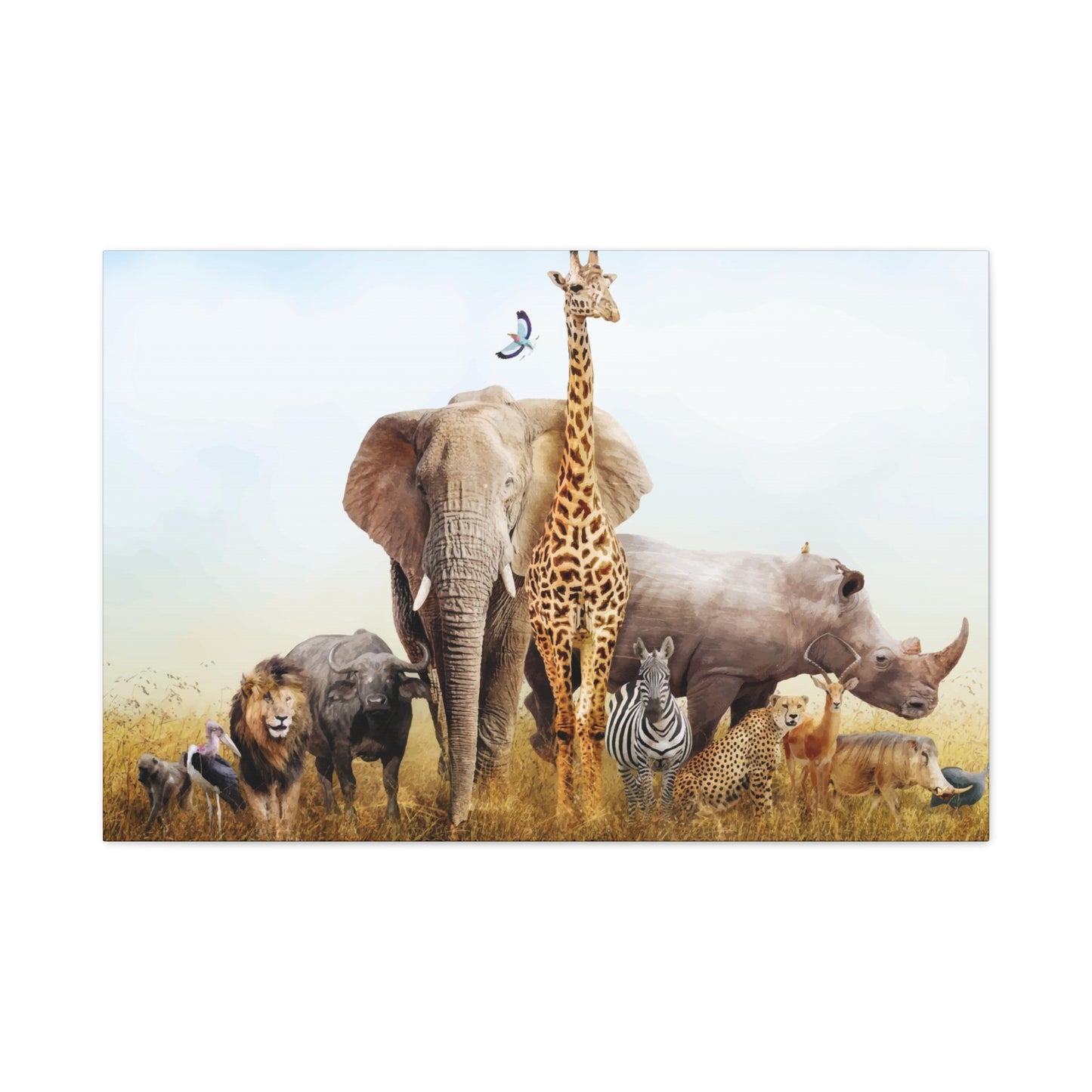 Animal Kingdom Wall Art & Canvas Prints