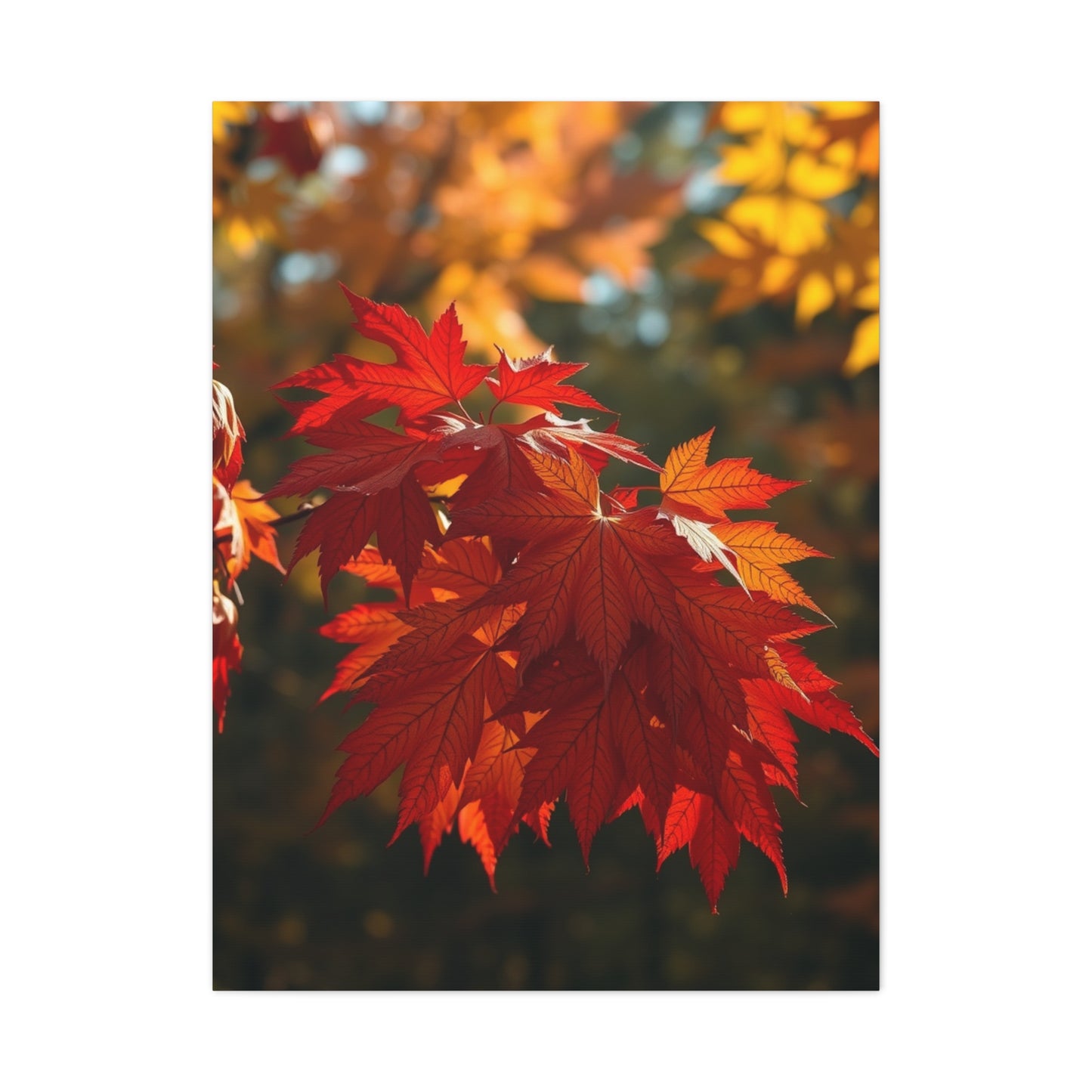 Vermilion Whisper Wall Art Wall Art & Canvas Print