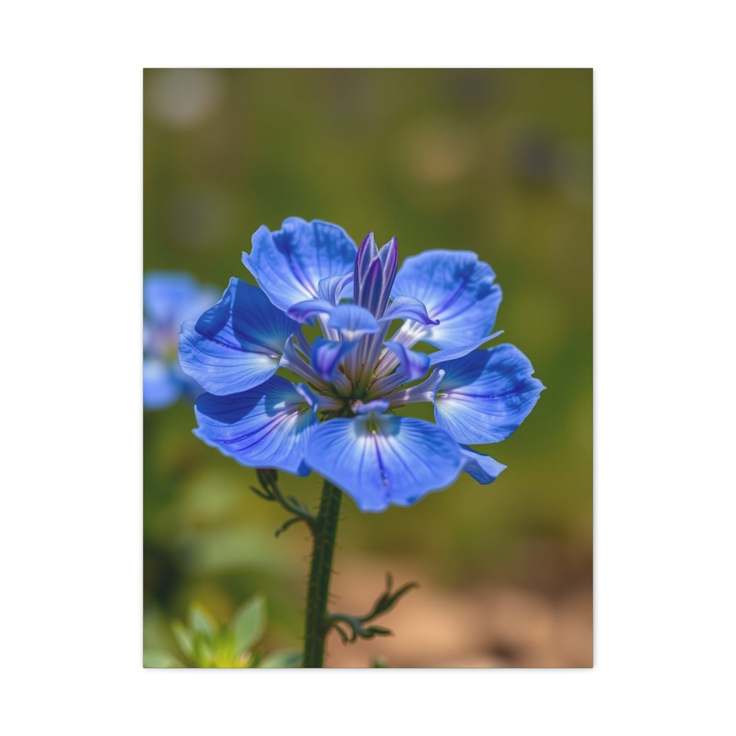 Supreme Bluebonnet Flower Art Wall Art & Canvas Print