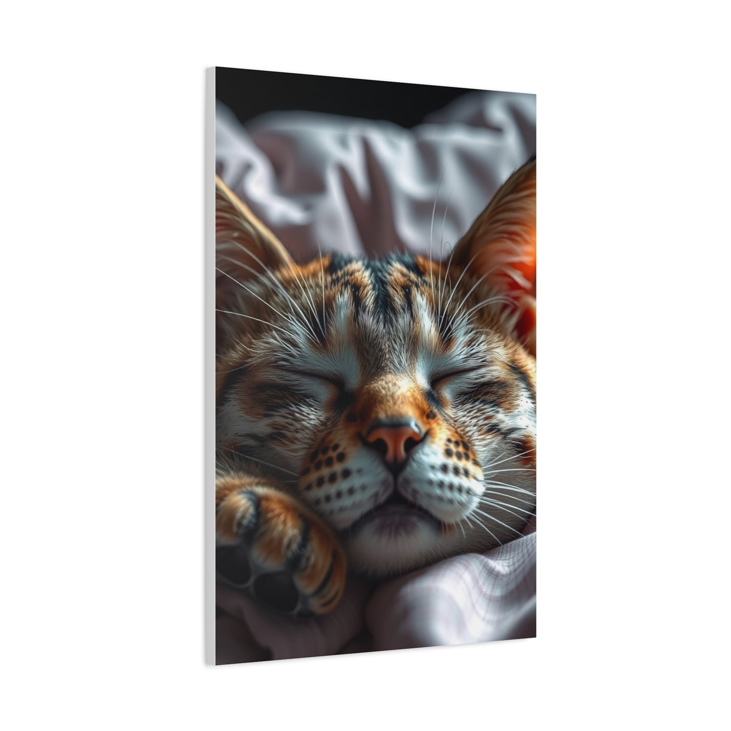 Elite Sleeping & Napping Art Vision Wall Art & Canvas Print