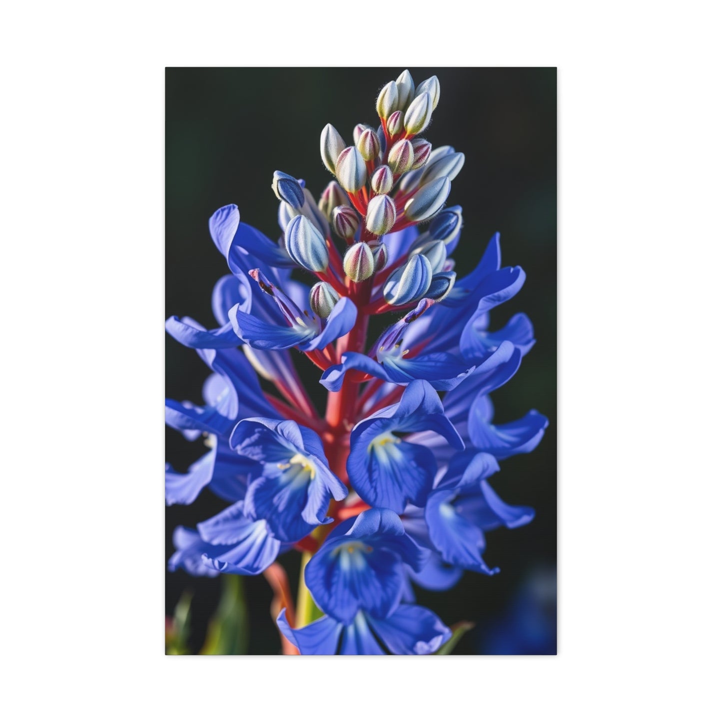 Bluebonnet Flower Art Supreme Canvas Wall Art & Canvas Print