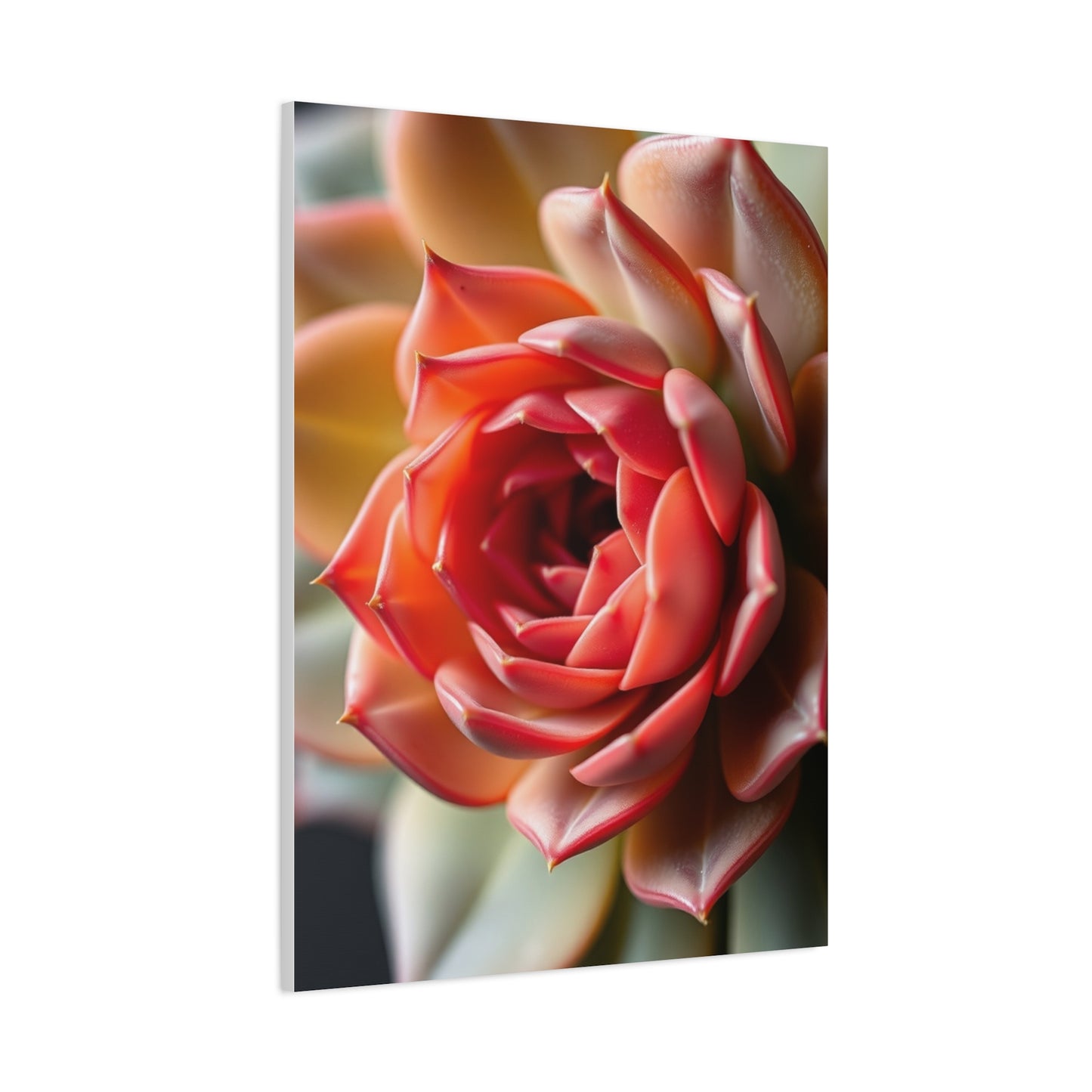 Elite Succulent Art Vision Wall Art & Canvas Print
