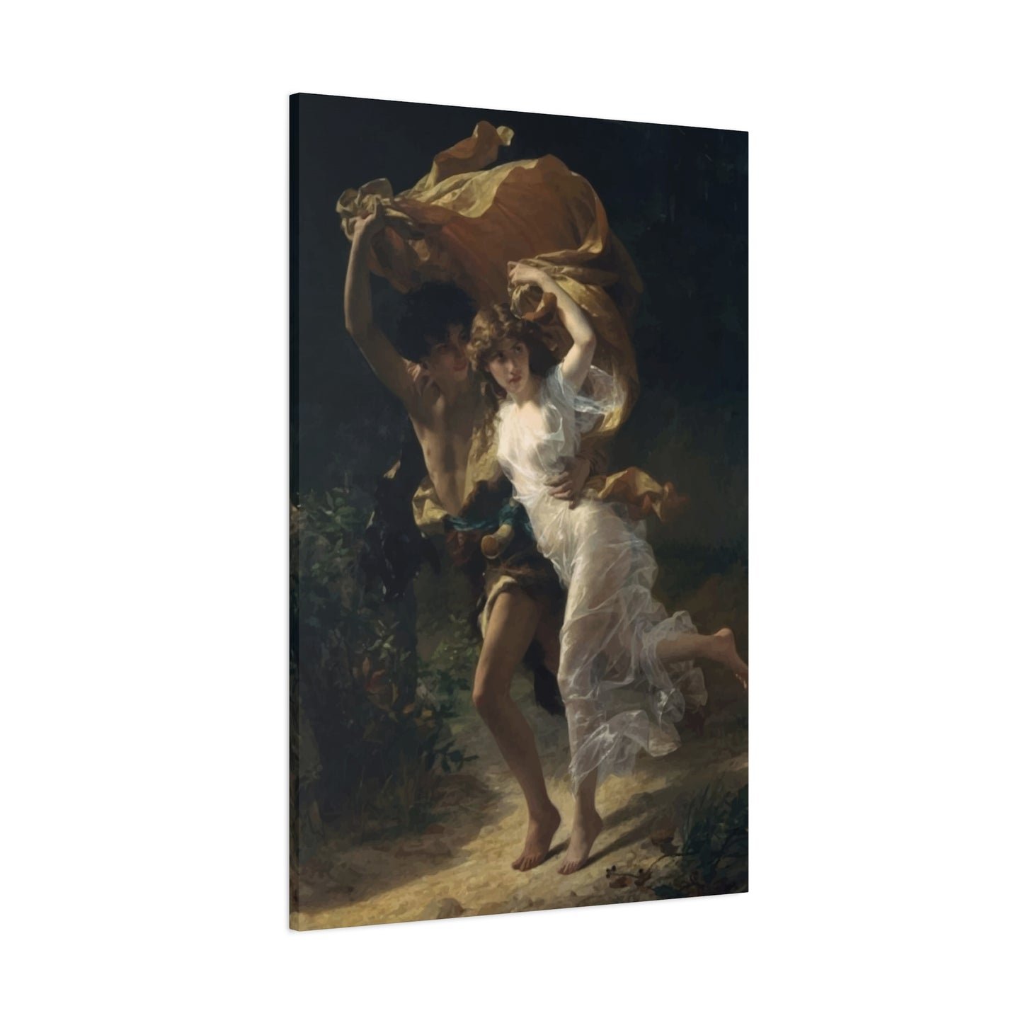 Pierre Wall Art & Canvas Prints