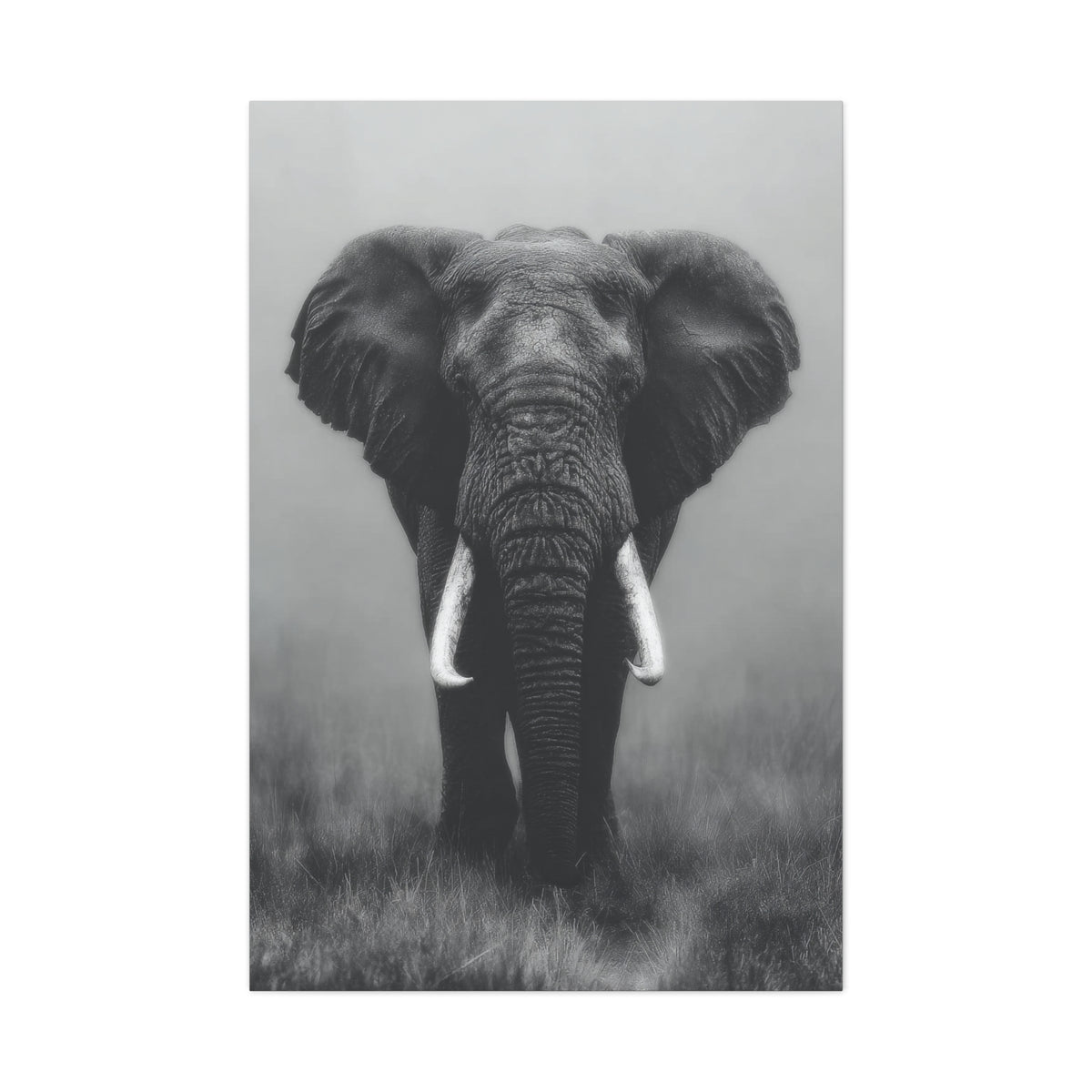 Black and White Elephant Portrait Wall Art & Canvas Prints