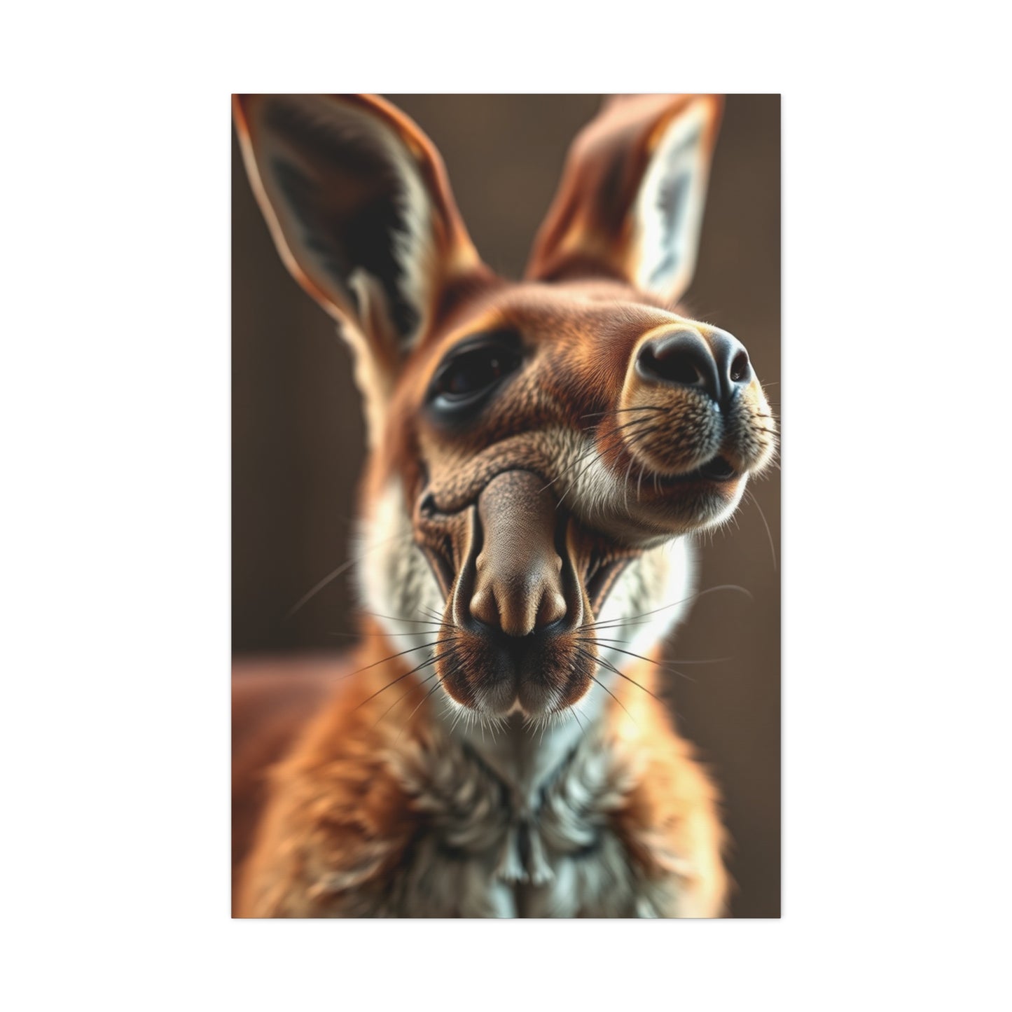 Supreme Kangaroo Art Wall Art & Canvas Print