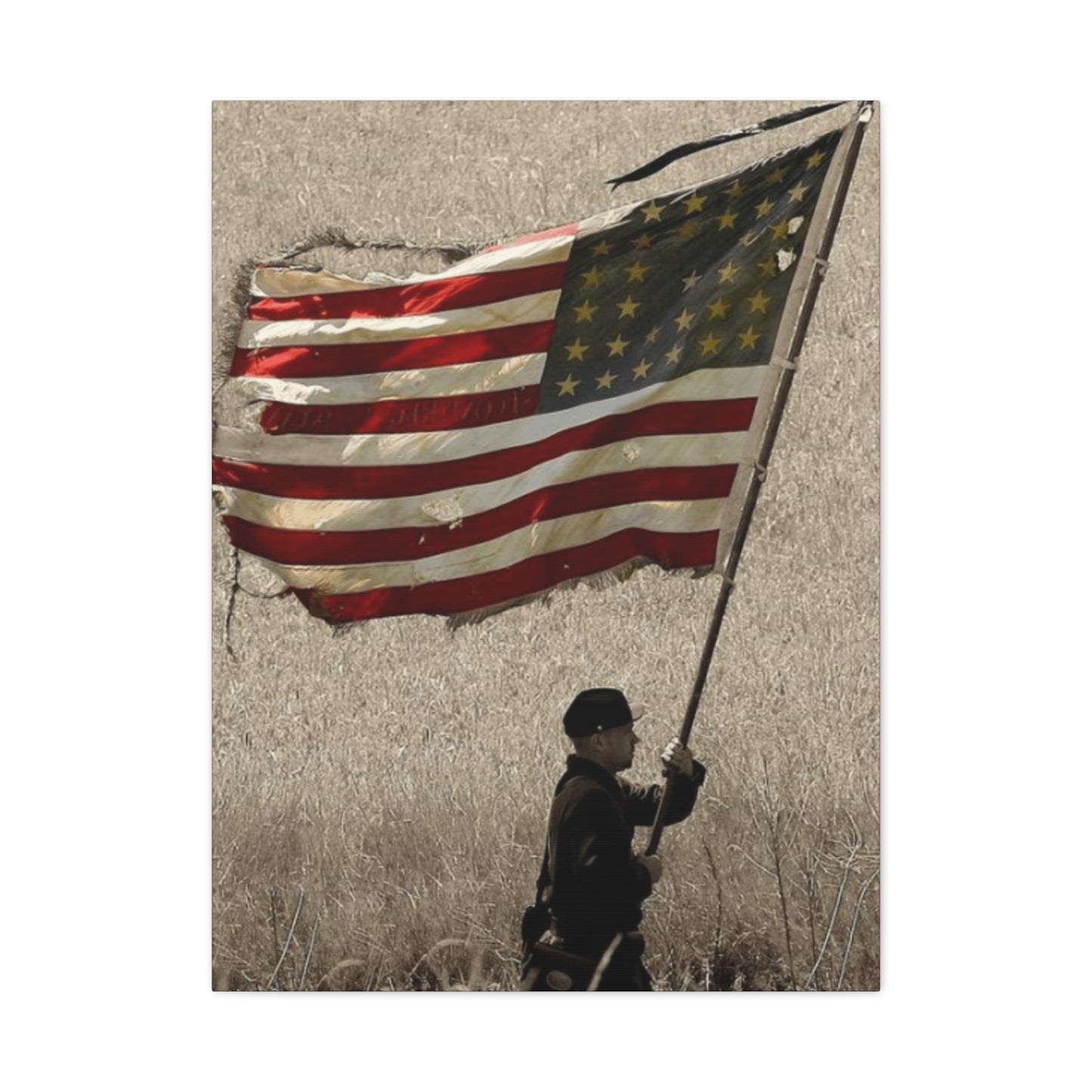 Man Carrying Flag Range Wall Art & Canvas Prints