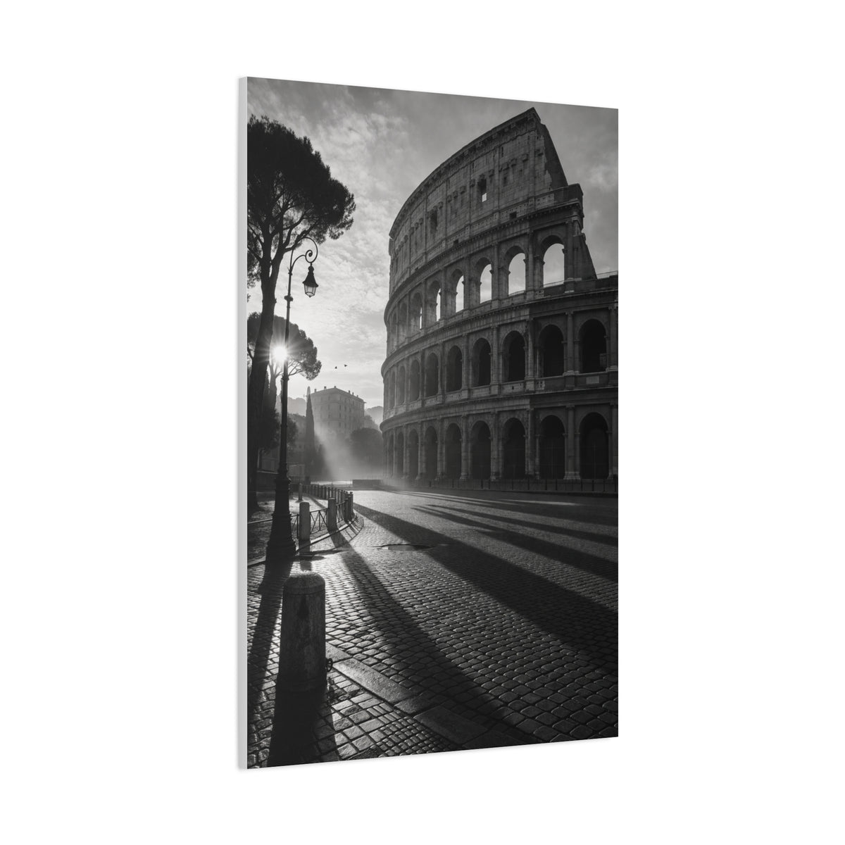 Colosseum Morning Light Monochrome Wall Art & Canvas Print