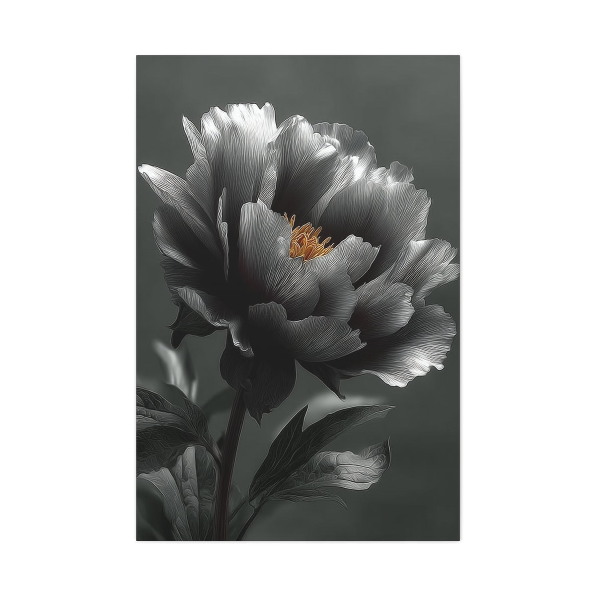Silver Peony Fine Art Floral Wall Art & Canvas Print