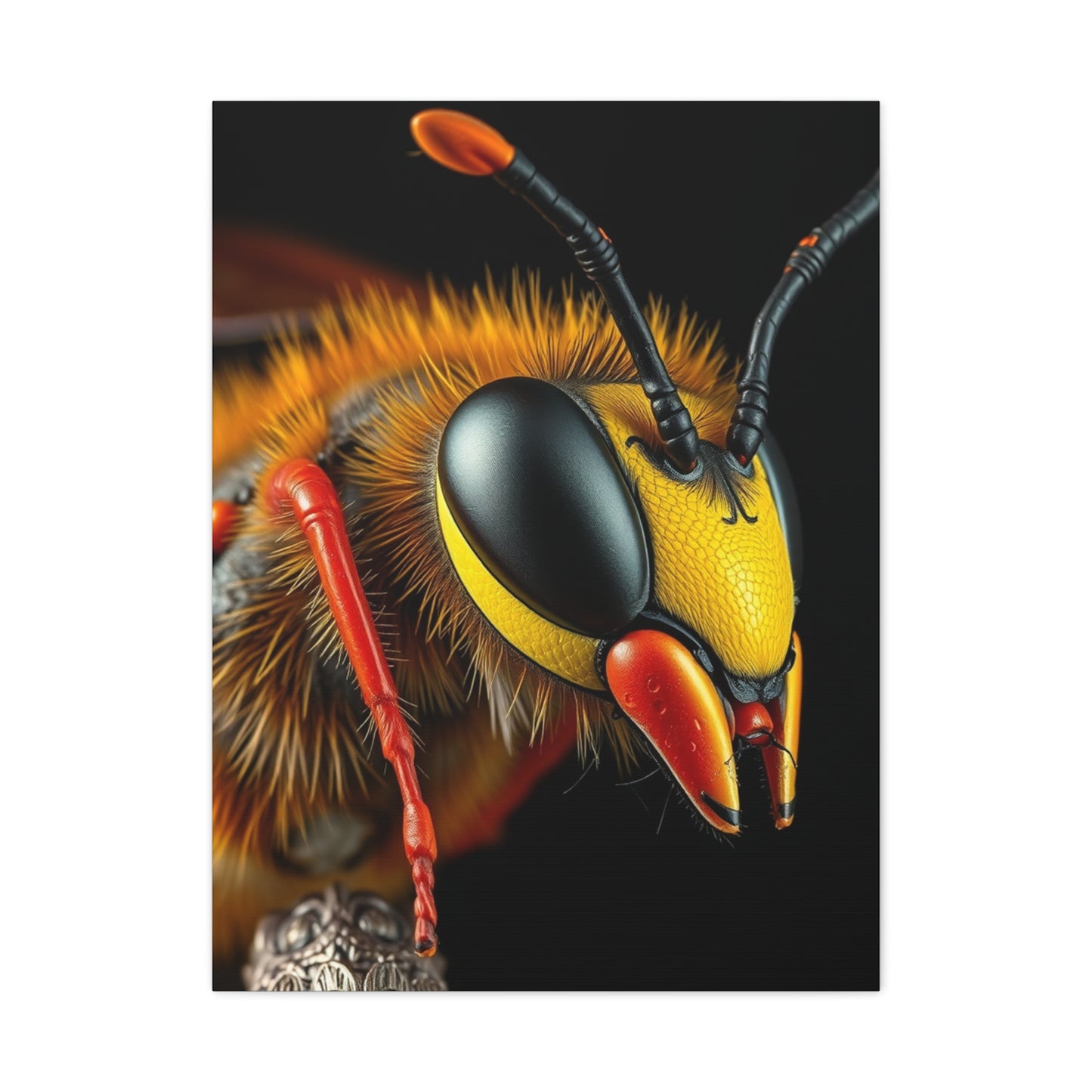 Vision Bees, Hornet & Wasps Art Art Wall Art & Canvas Print