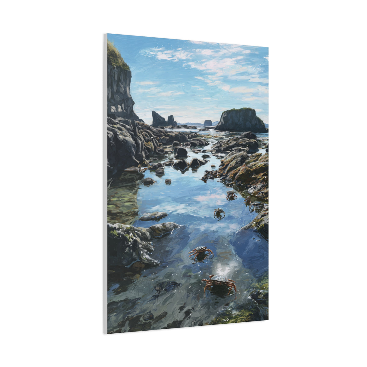 Tide Pools Along Rocky Coastal Shore Wall Art & Canvas Print