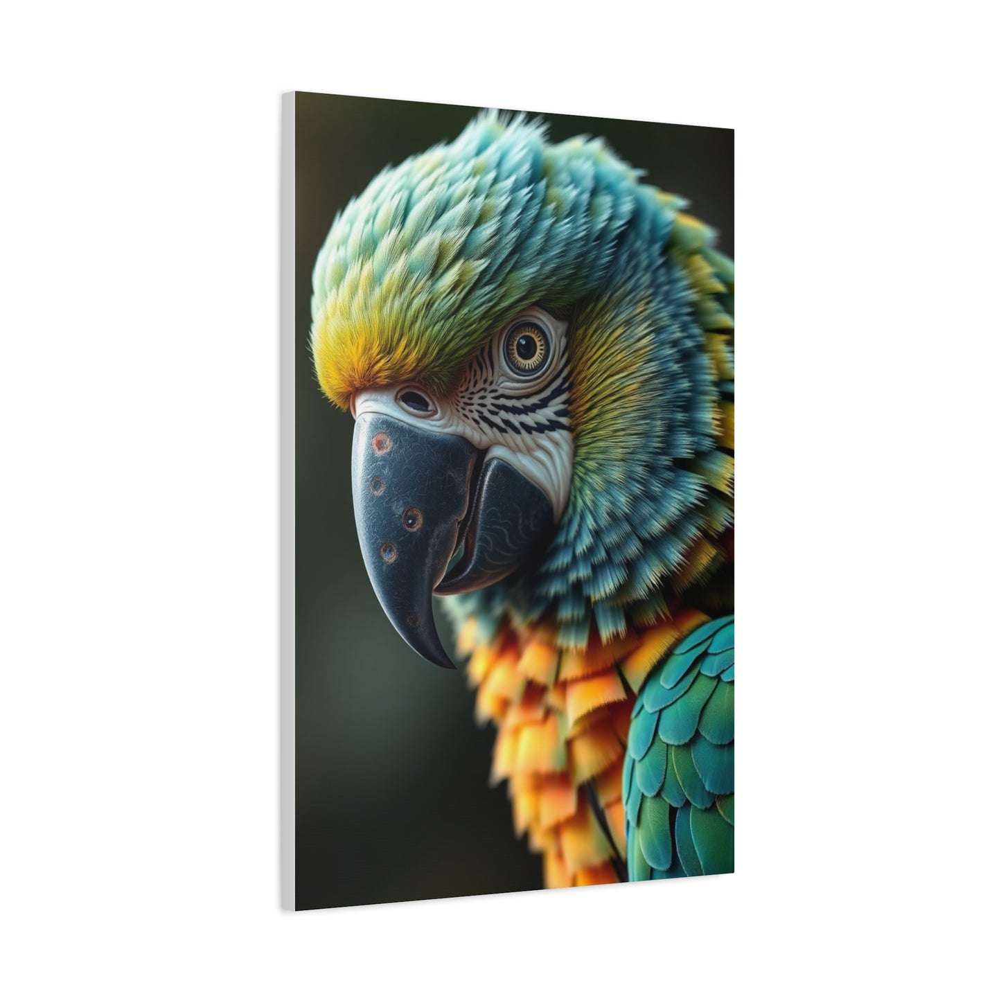 Supreme Parrot Art Collection Wall Art & Canvas Print