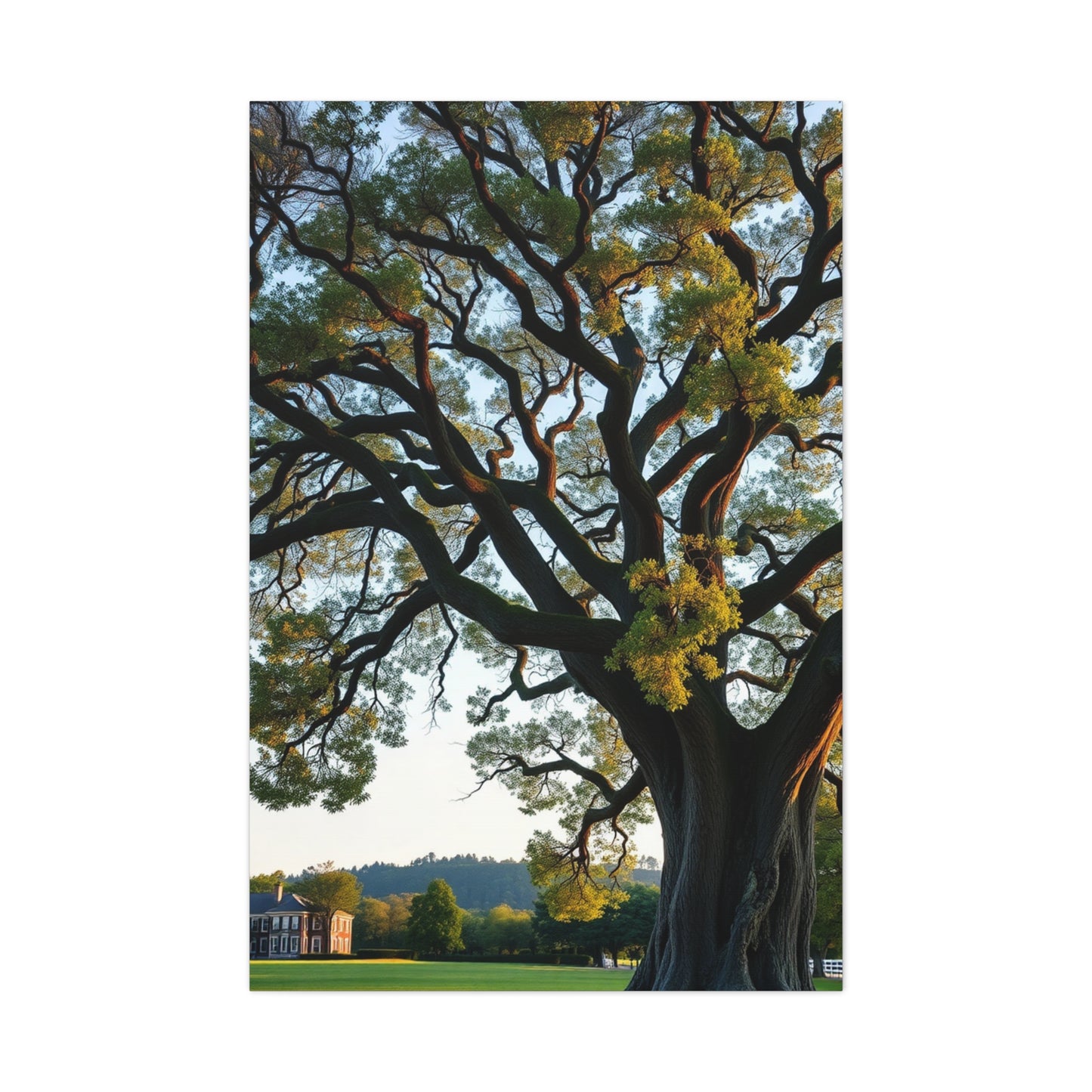 Oak Tree Art Refined Canvas Wall Art & Canvas Print