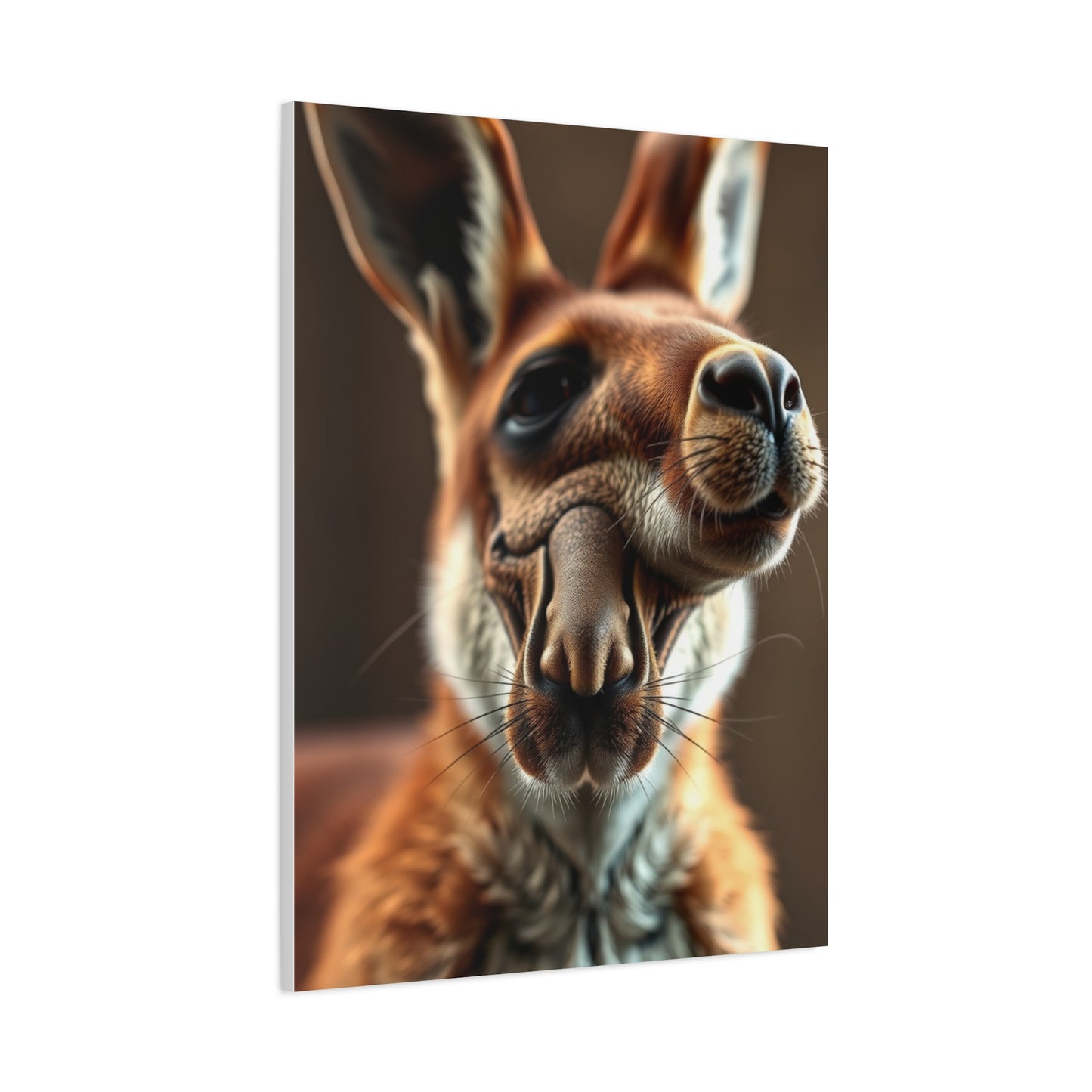 Supreme Kangaroo Art Wall Art & Canvas Print