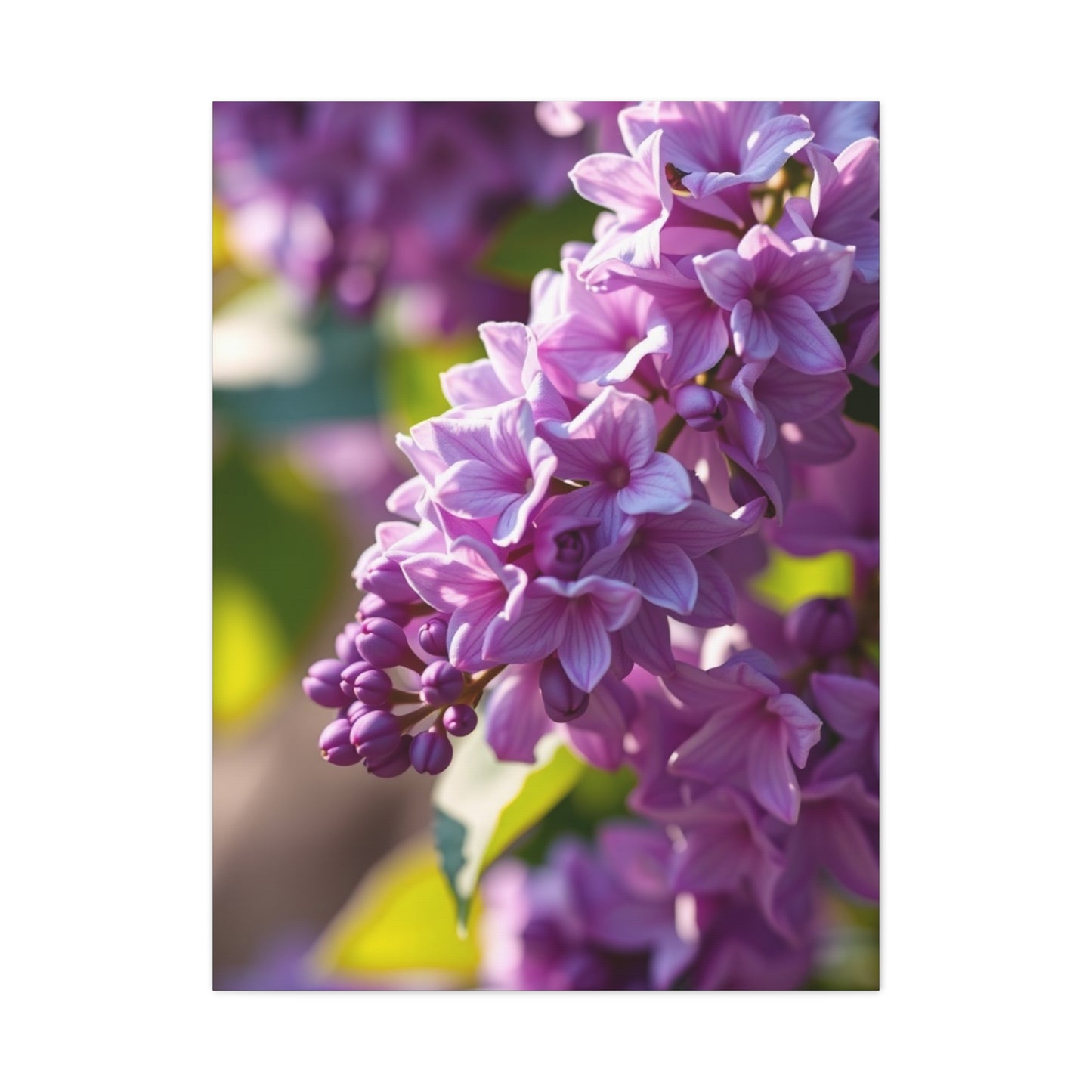 Lilac Flower Art Supreme Canvas Wall Art & Canvas Print