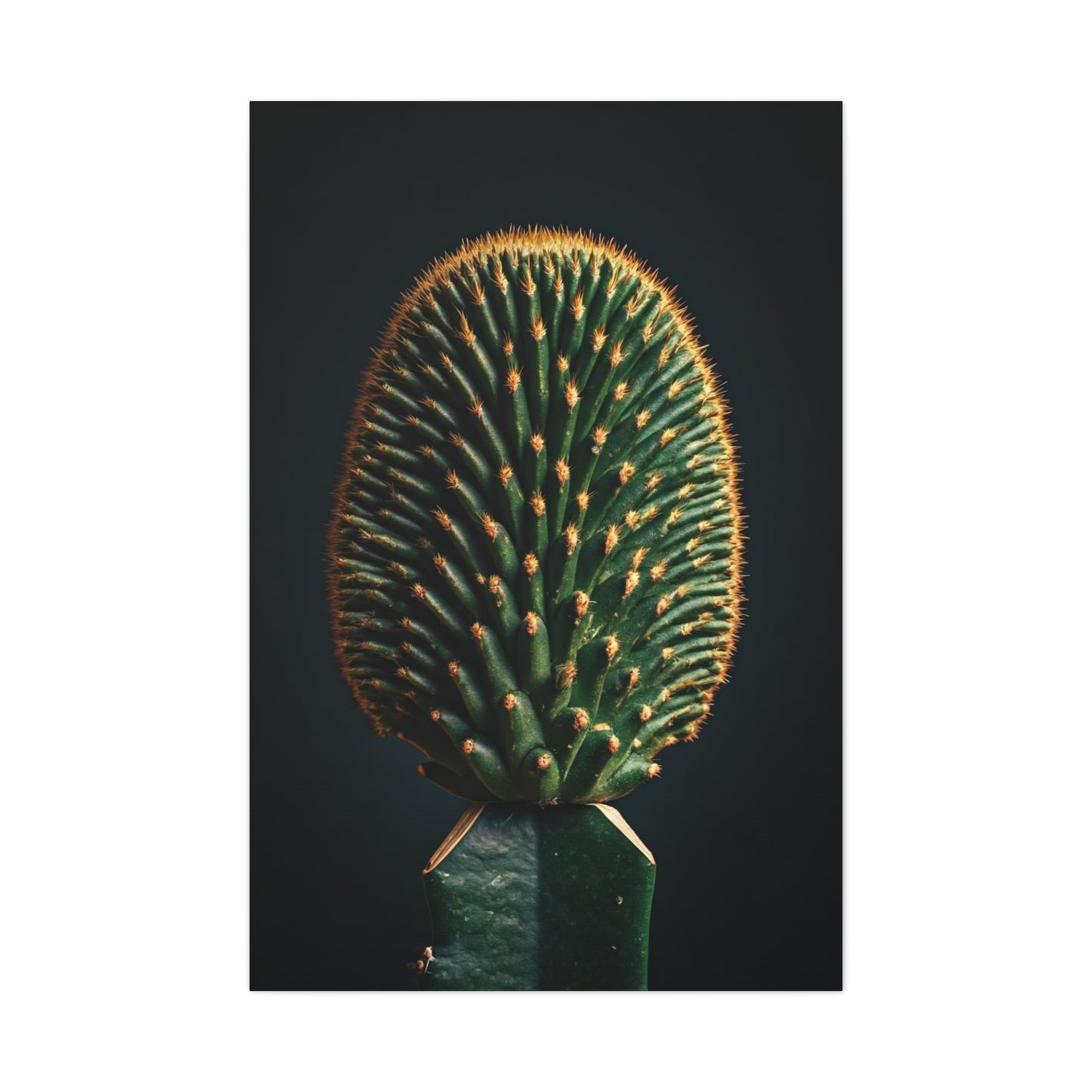 Emerald Crown Column Cactus Wall Art & Canvas Prints