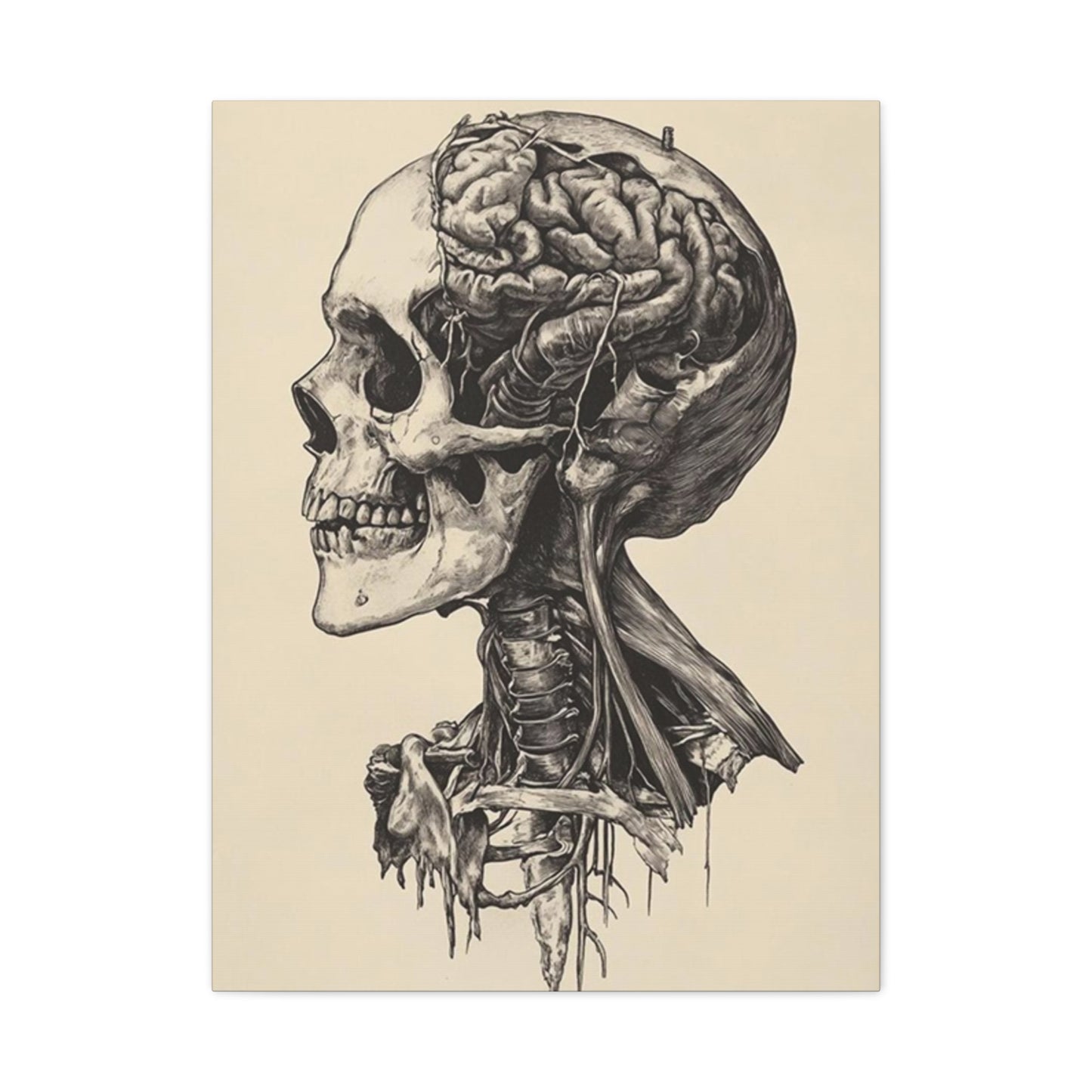 Brain In Skull Wall Art & Canvas Prints