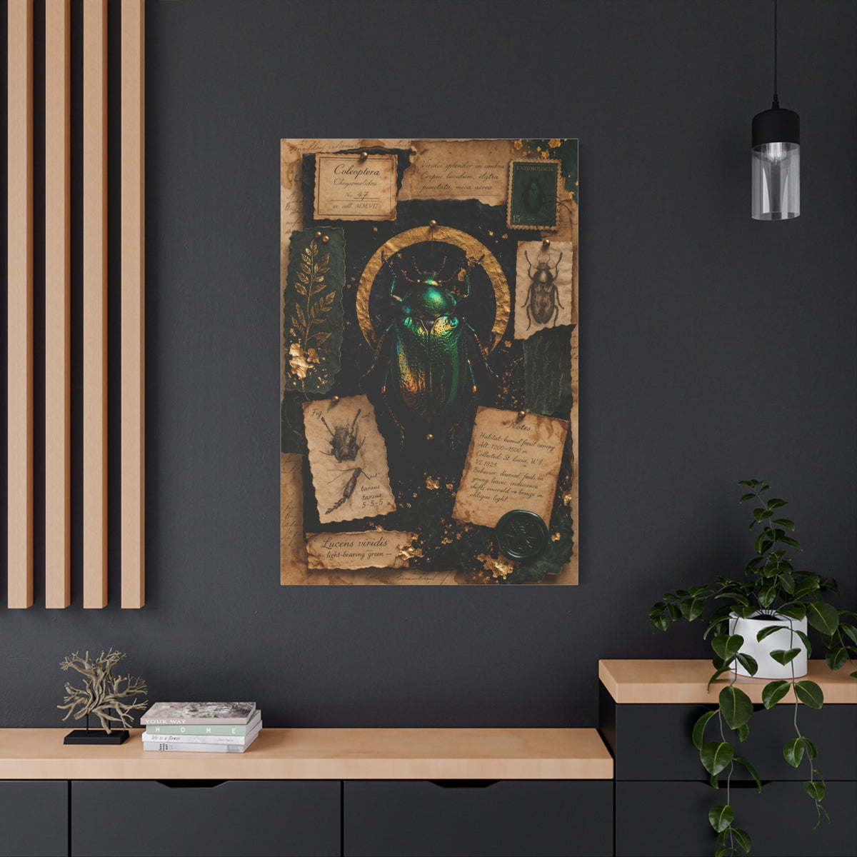 Cabinet of Curiosities Insect Study Wall Art & Canvas Print