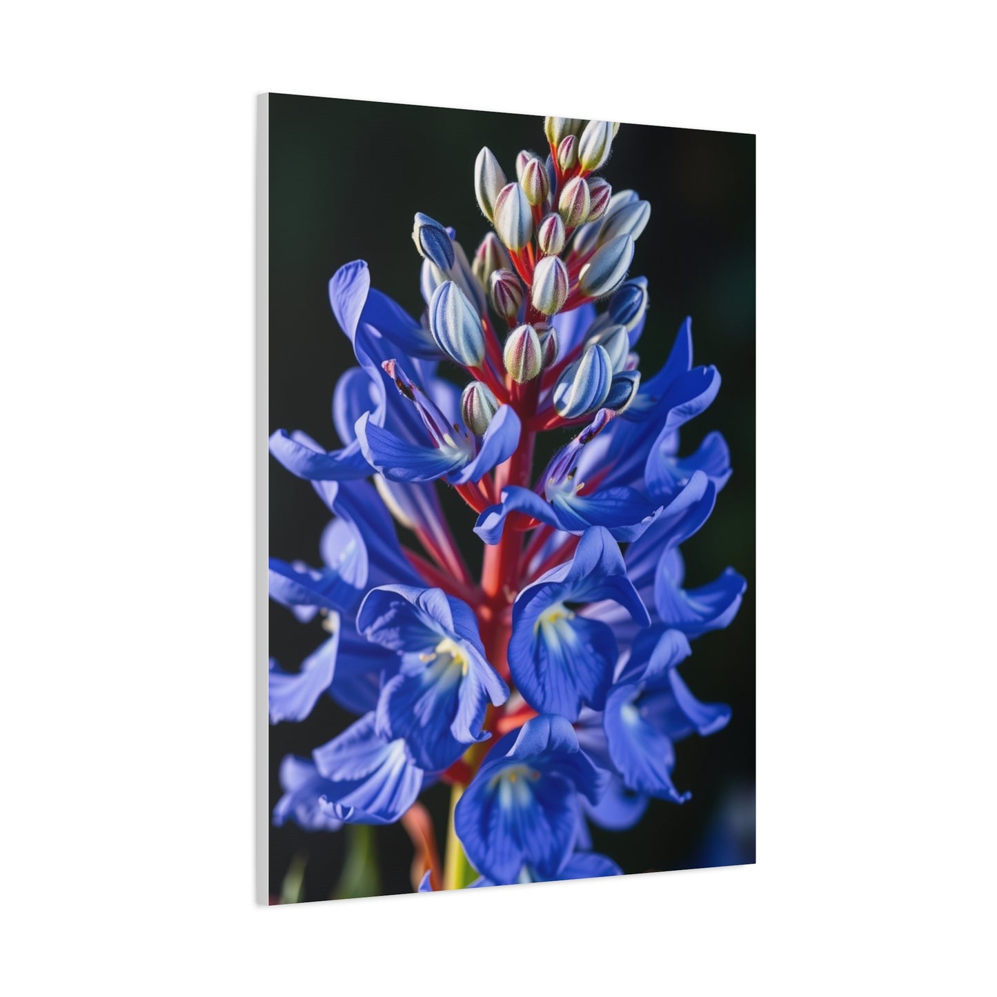 Bluebonnet Flower Art Supreme Canvas Wall Art & Canvas Print