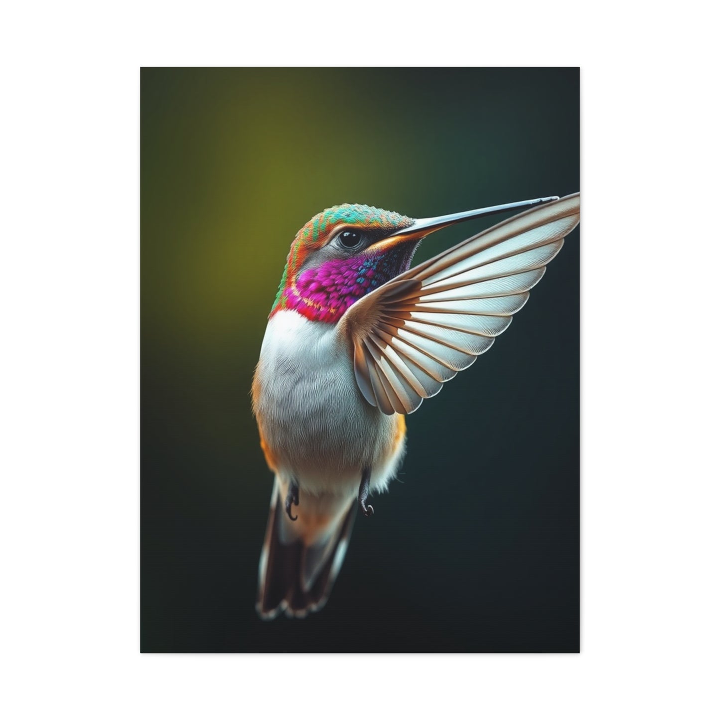 Beautiful Humming Bird Art Supreme Canvas Gallery Wall Art & Canvas Print