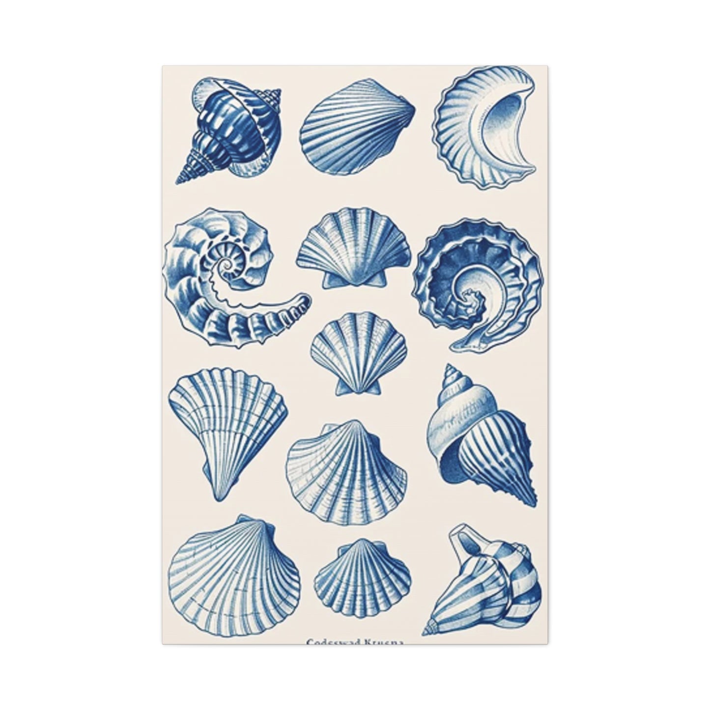 Blue Shell Shapes Wall Art & Canvas Prints