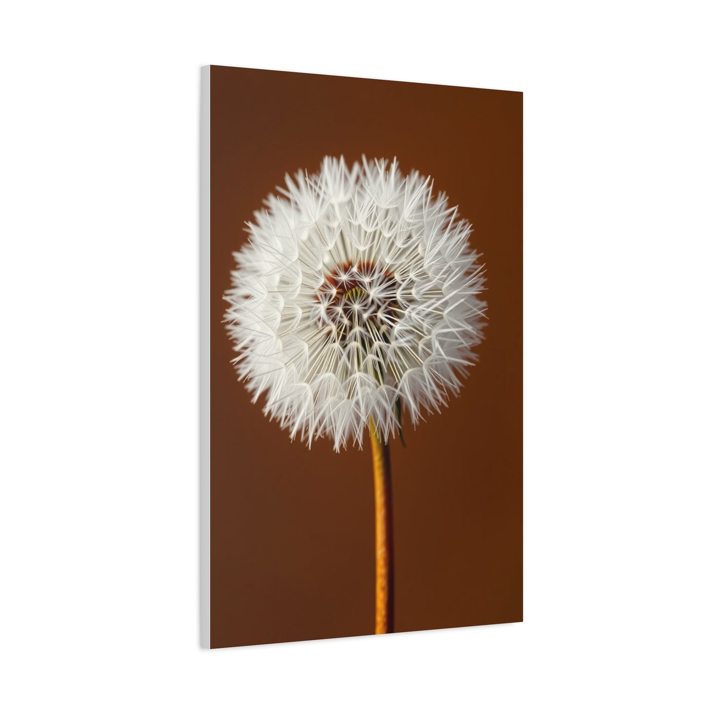 Supreme Dandelion Flower Art Wall Art & Canvas Print