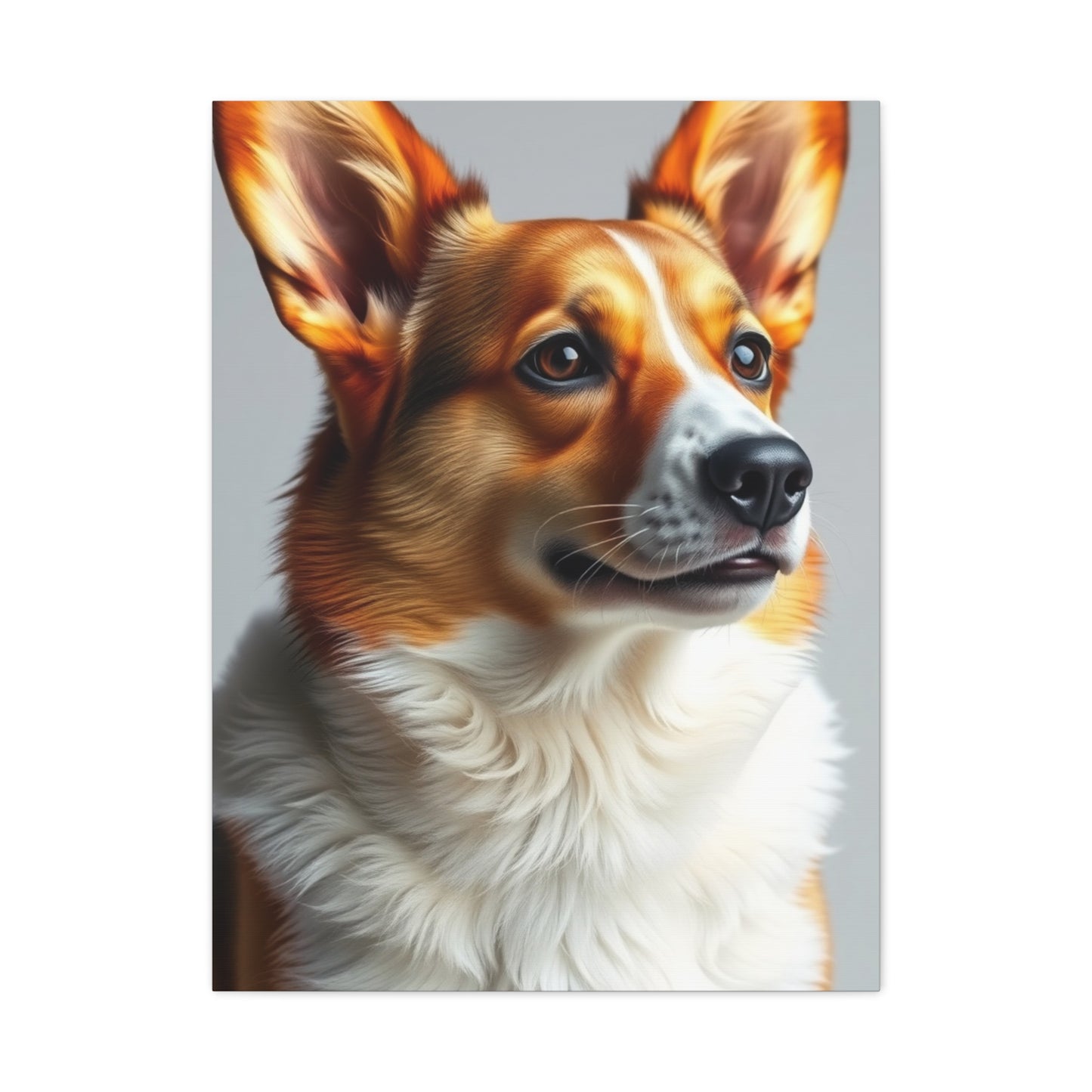Collection Corgi Dog Art Wall Art & Canvas Print