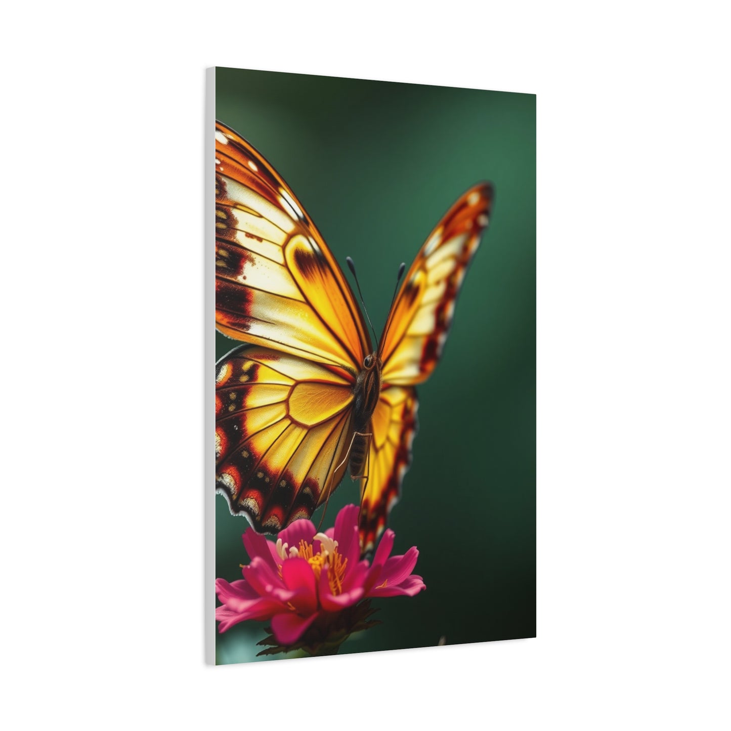 Chrysalis Symphony Wall Art Wall Art & Canvas Print