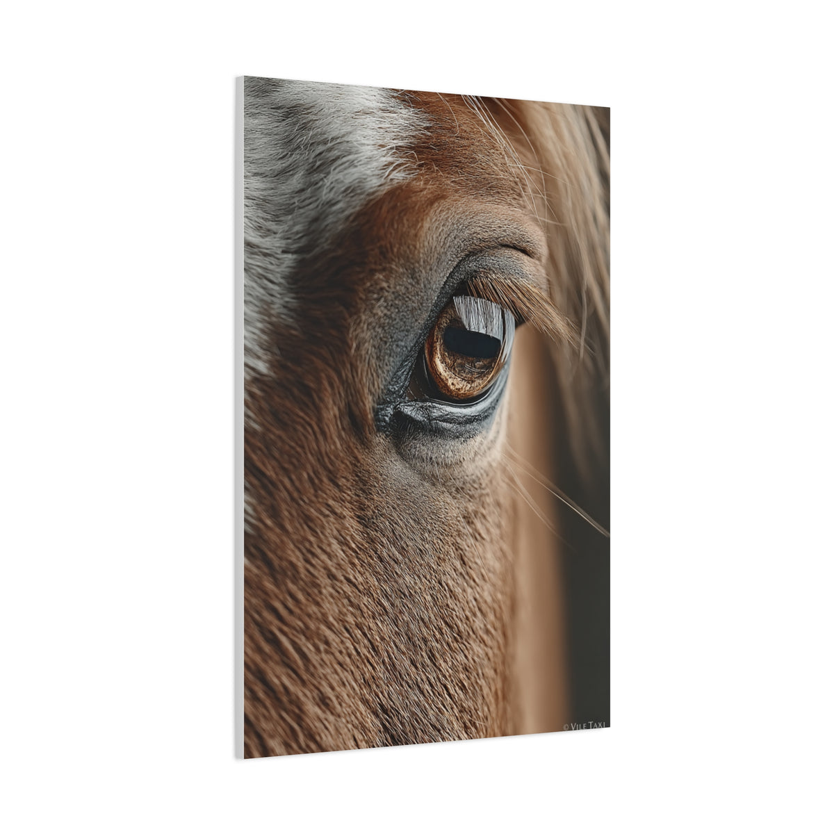 Horse Eye Macro Emotional Detail Wall Art & Canvas Print