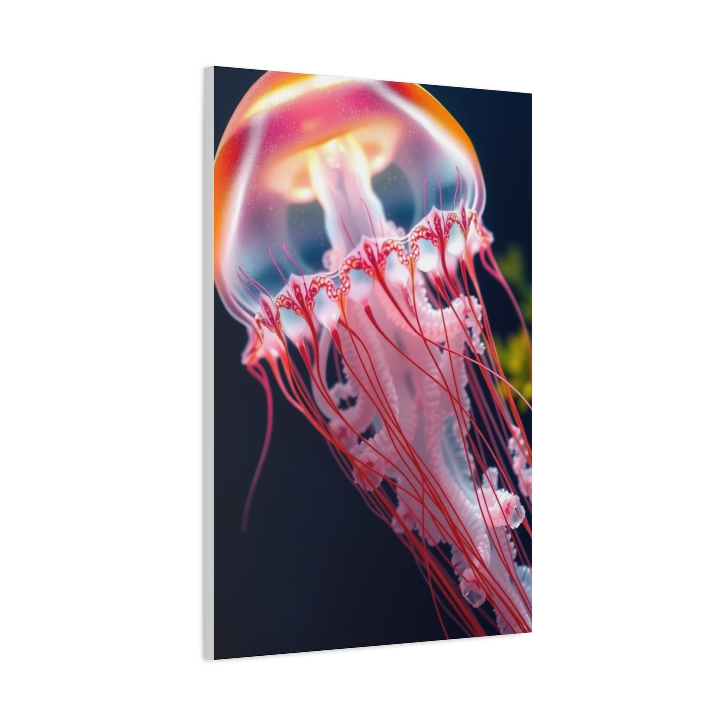 Supreme Jellyfish Collection Wall Art & Canvas Print