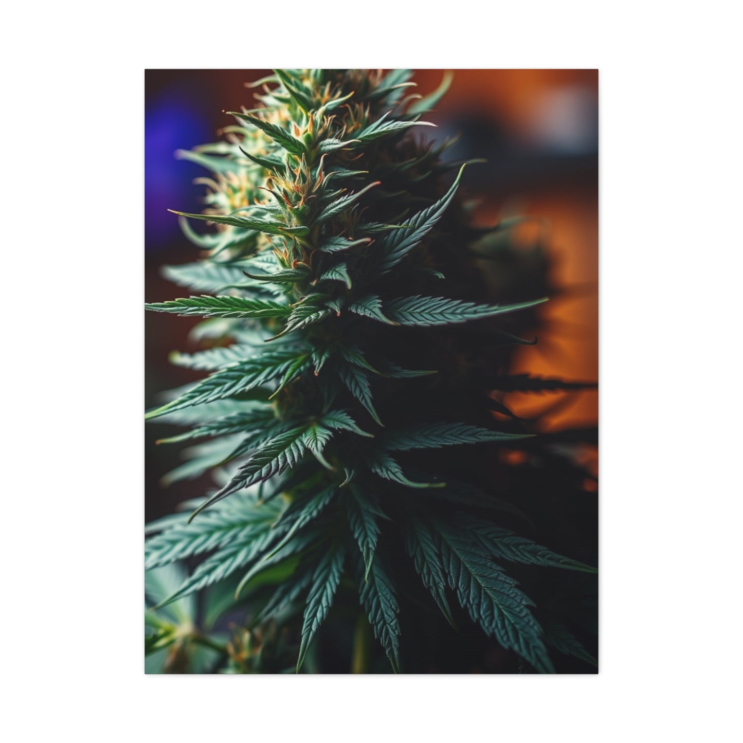 Herbal Opulence Wall Décor Wall Art & Canvas Print