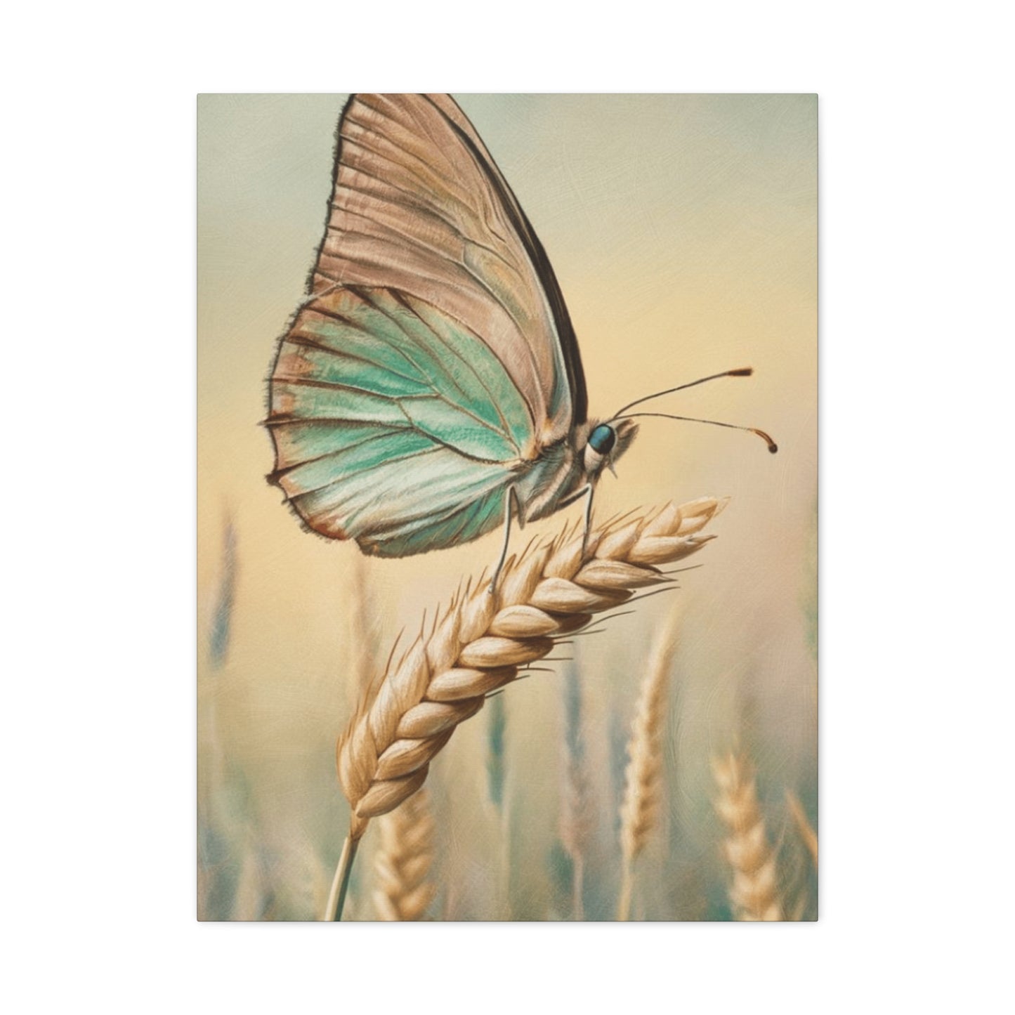 Butterfly on Wheat Crop Painting Wall Art & Canvas Prints