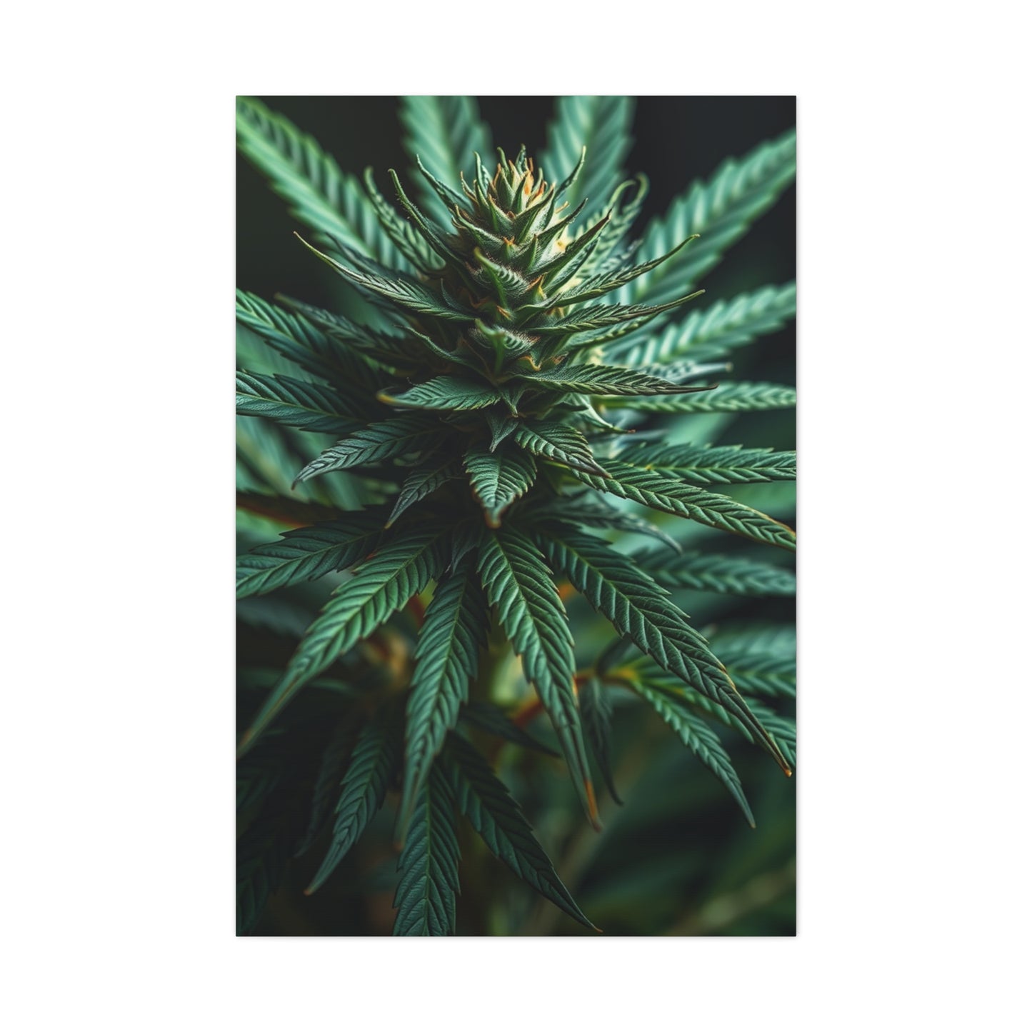 Ethereal Greenscape Art Wall Art & Canvas Print