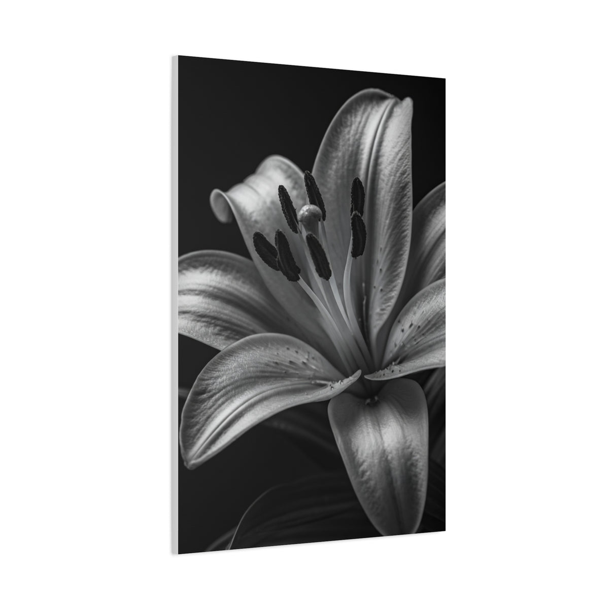 Lavender Silhouette in Low Light Wall Art & Canvas Prints