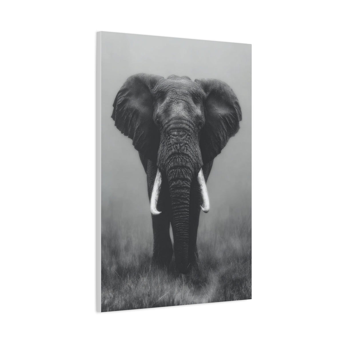 Black and White Elephant Portrait Wall Art & Canvas Prints